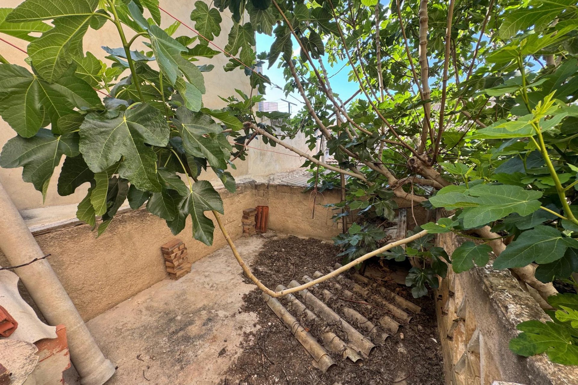 Revente - Appartement - Benejúzar