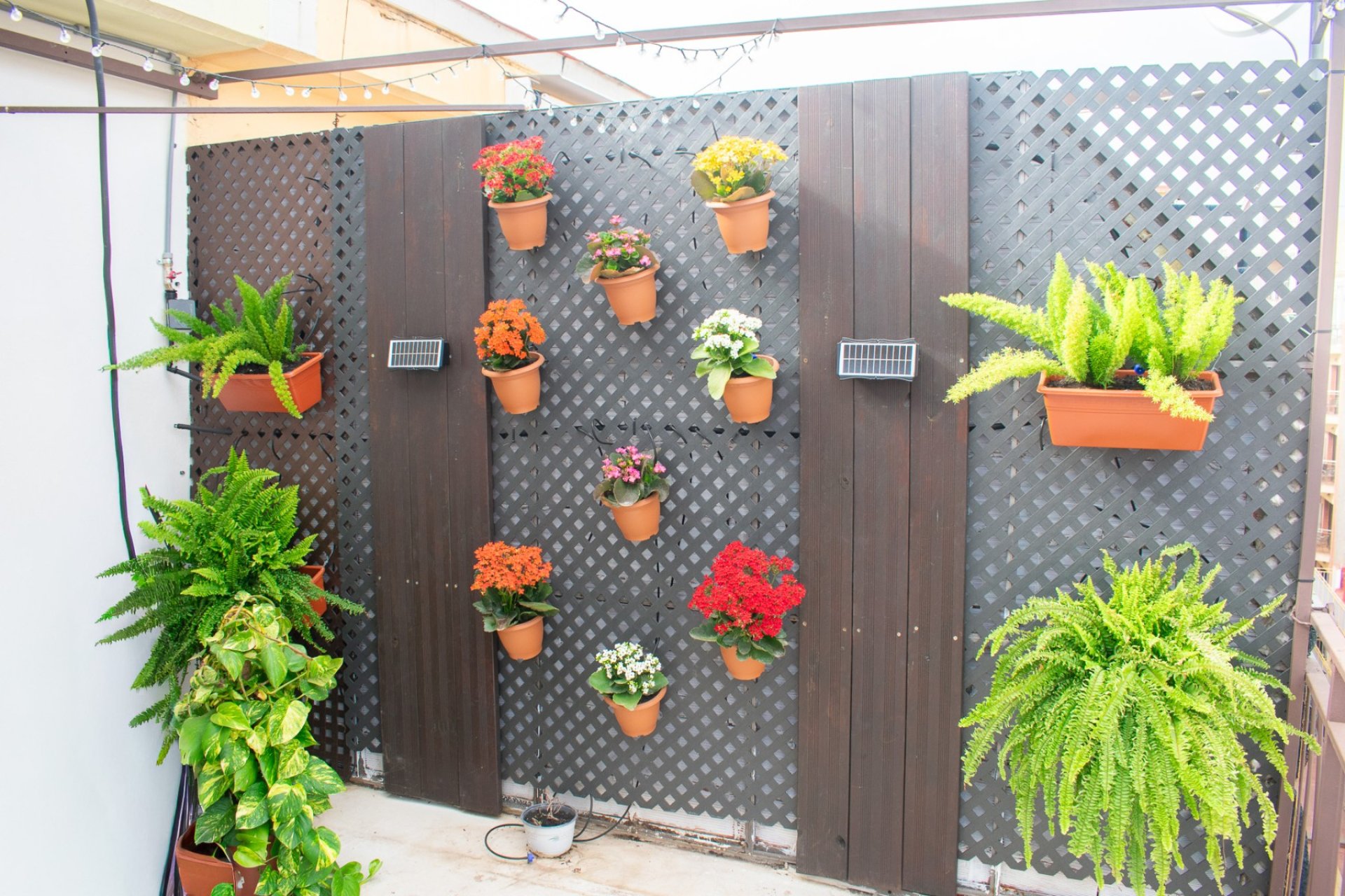 Revente - Appartement - Benidorm - Levante