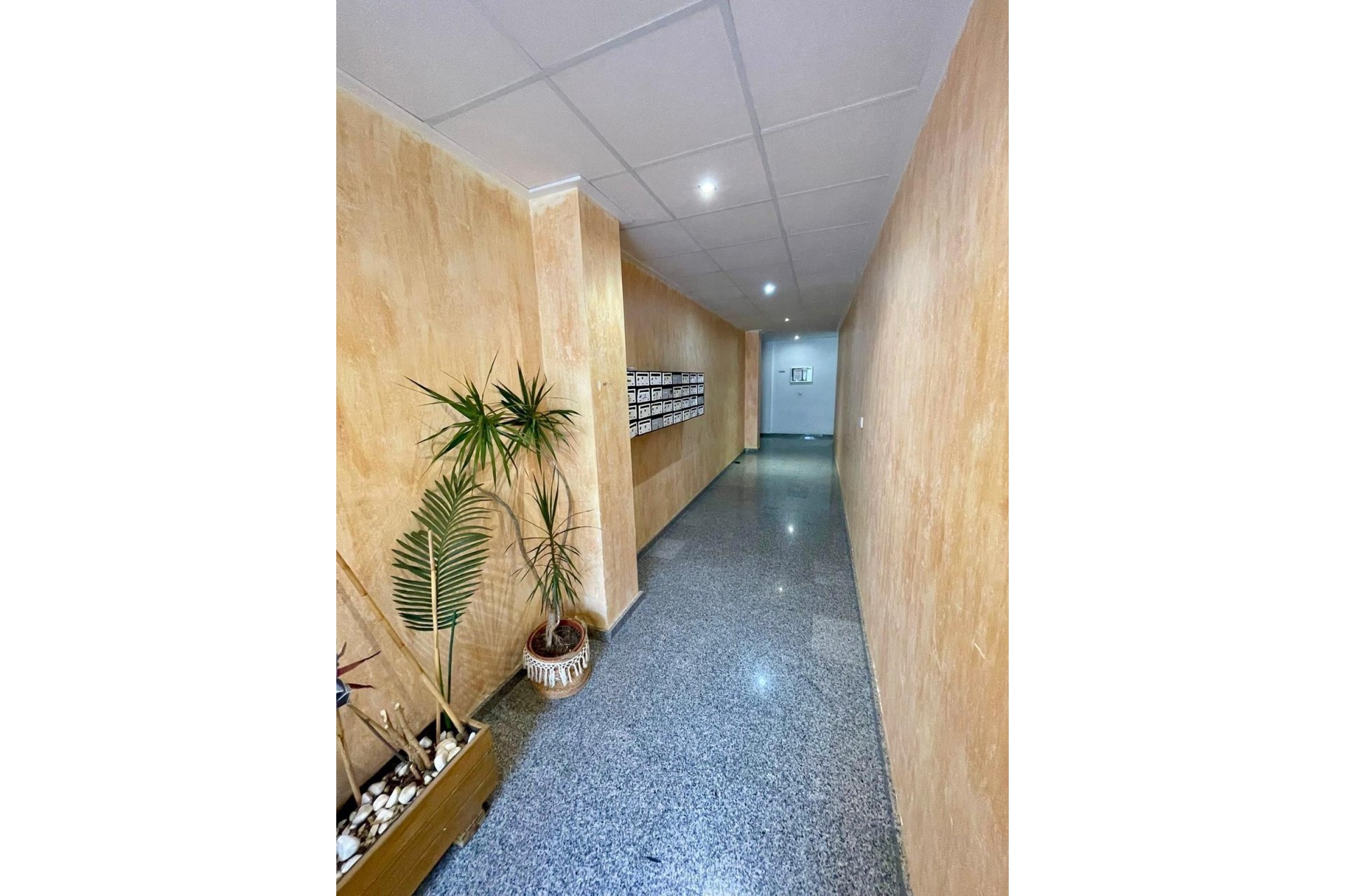 Revente - Appartement - Benijofar - Pueblo 4