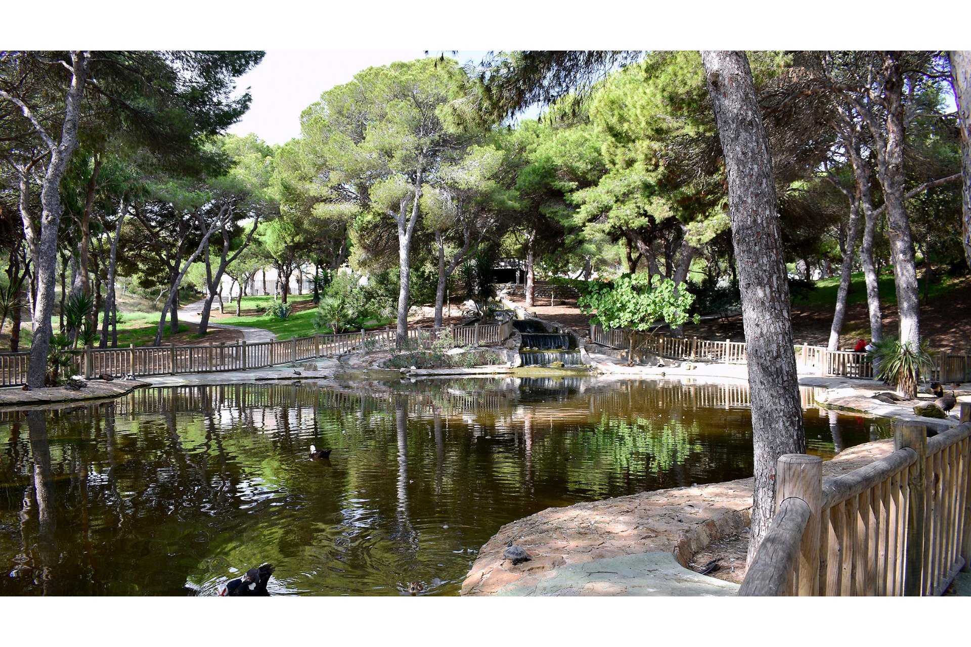 Revente - Appartement - Guardamar del Segura - Guardamar pueblo