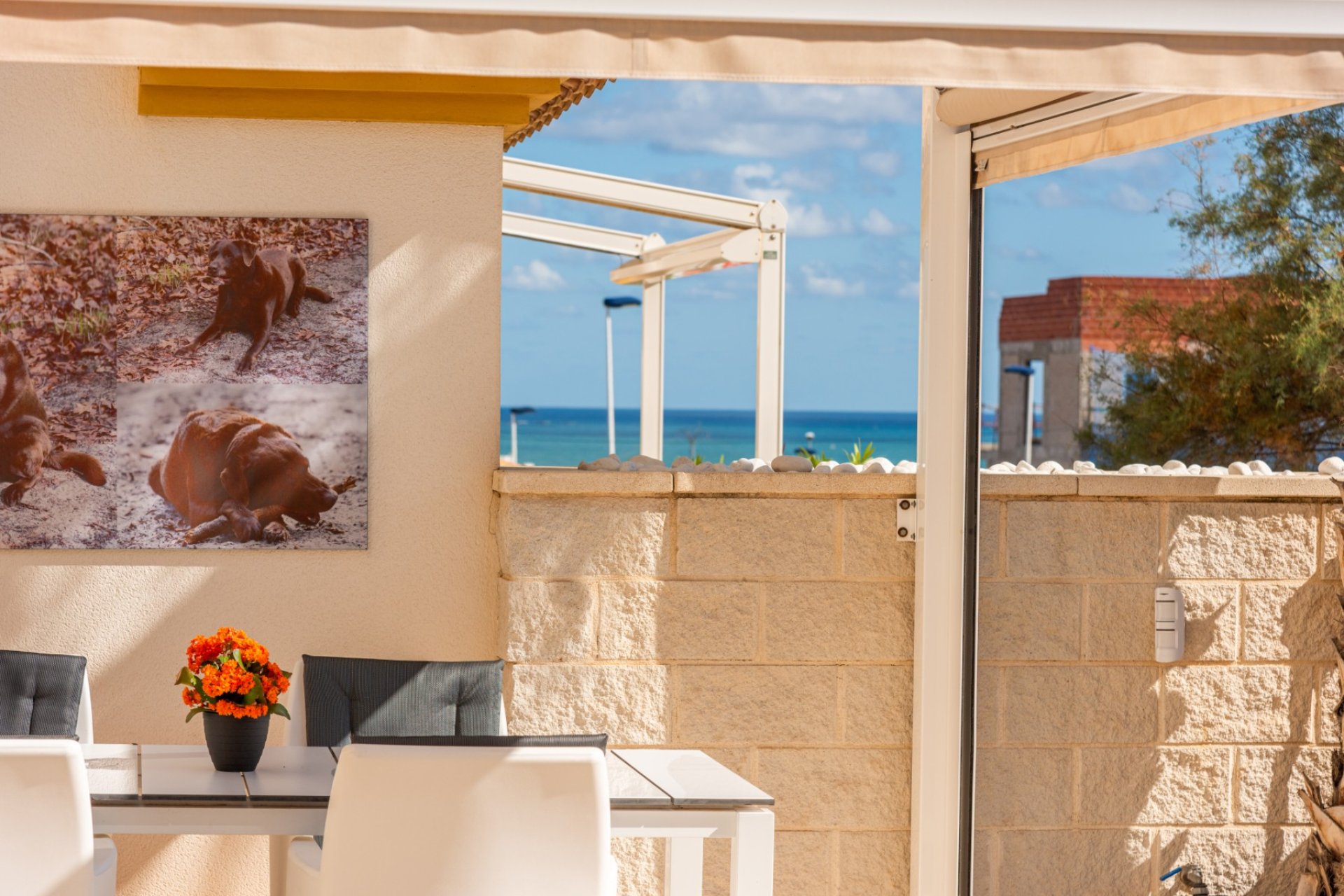 Revente - Appartement - Guardamar del Segura - Guardamar