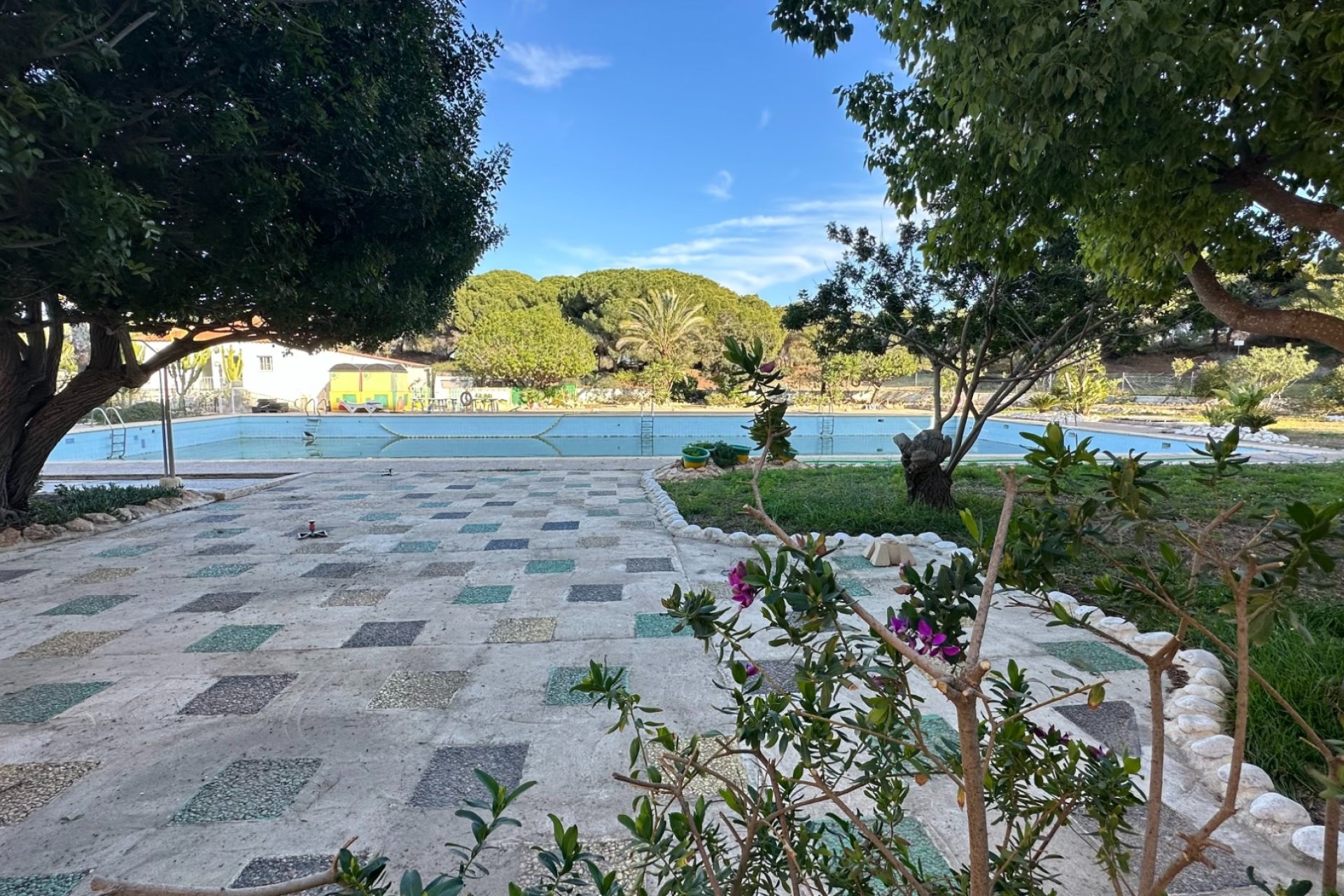 Revente - Appartement - Guardamar del Segura - Pinomar
