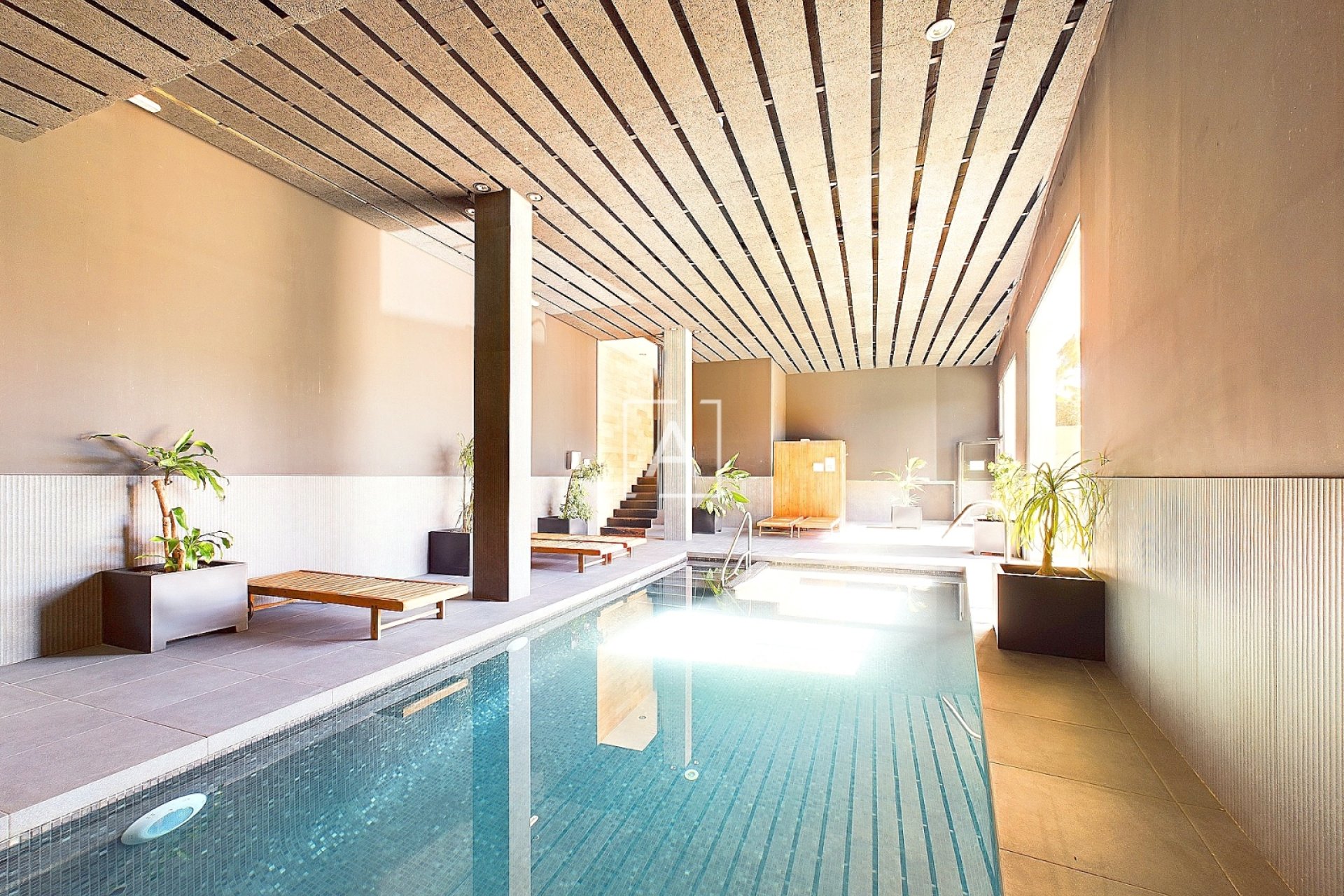 Revente - Appartement - Los Dolses