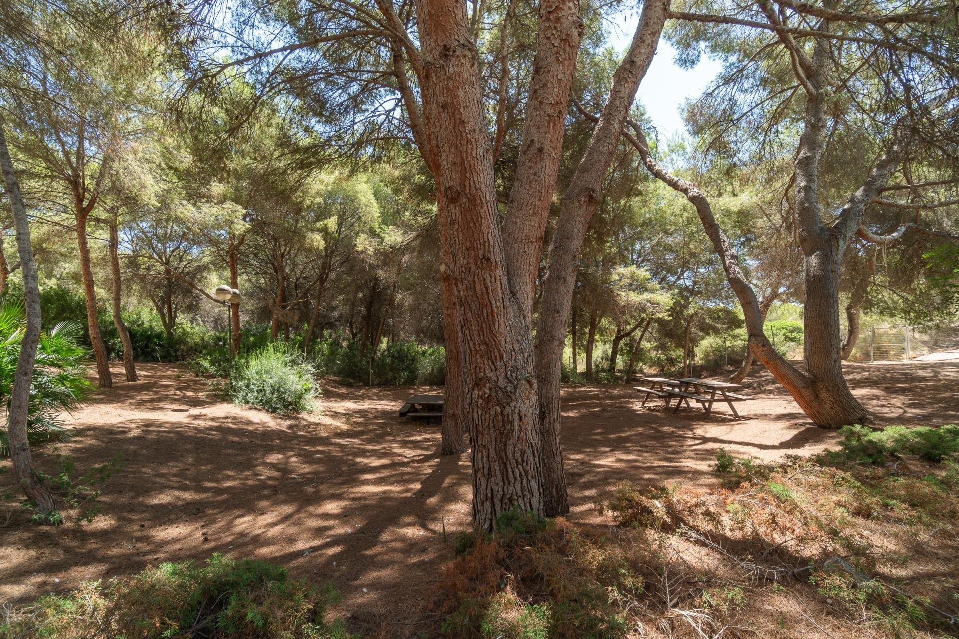 Revente - Appartement - Orihuela Costa - Altos de Campoamor