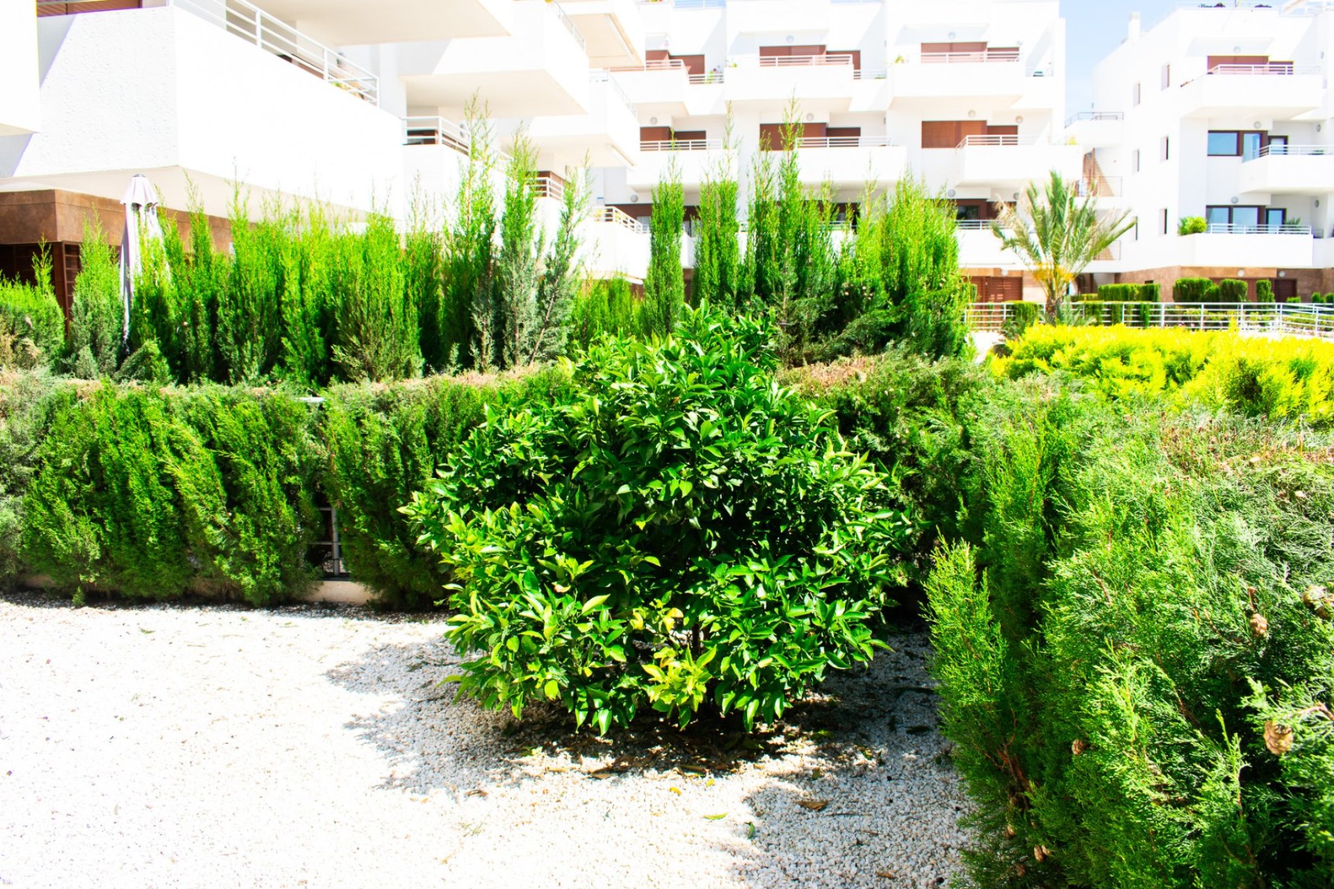 Revente - Appartement - Orihuela Costa - Cabo Roig