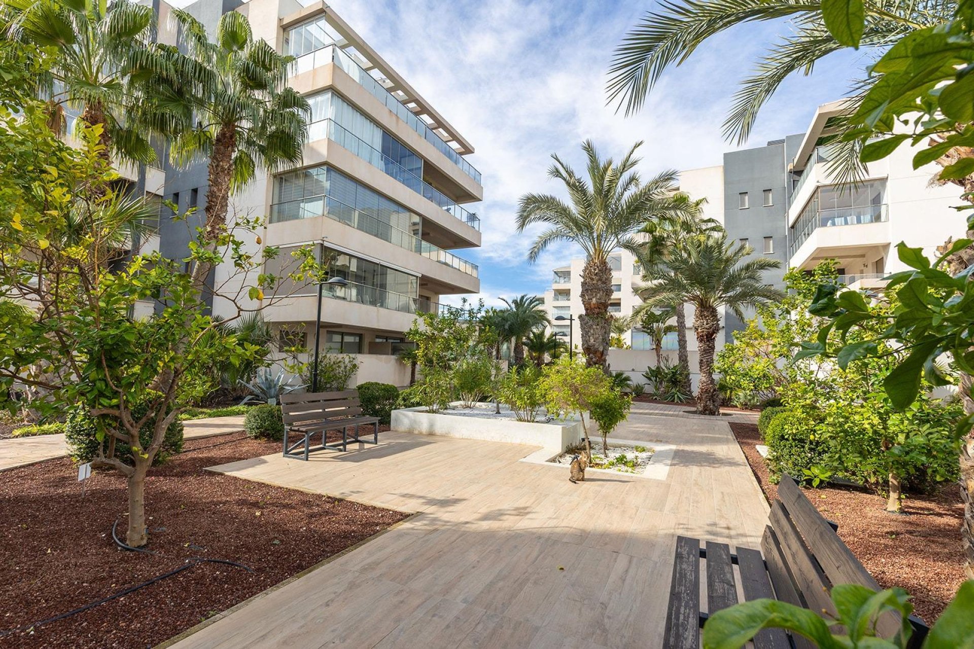 Revente - Appartement - Orihuela Costa - Los Dolses