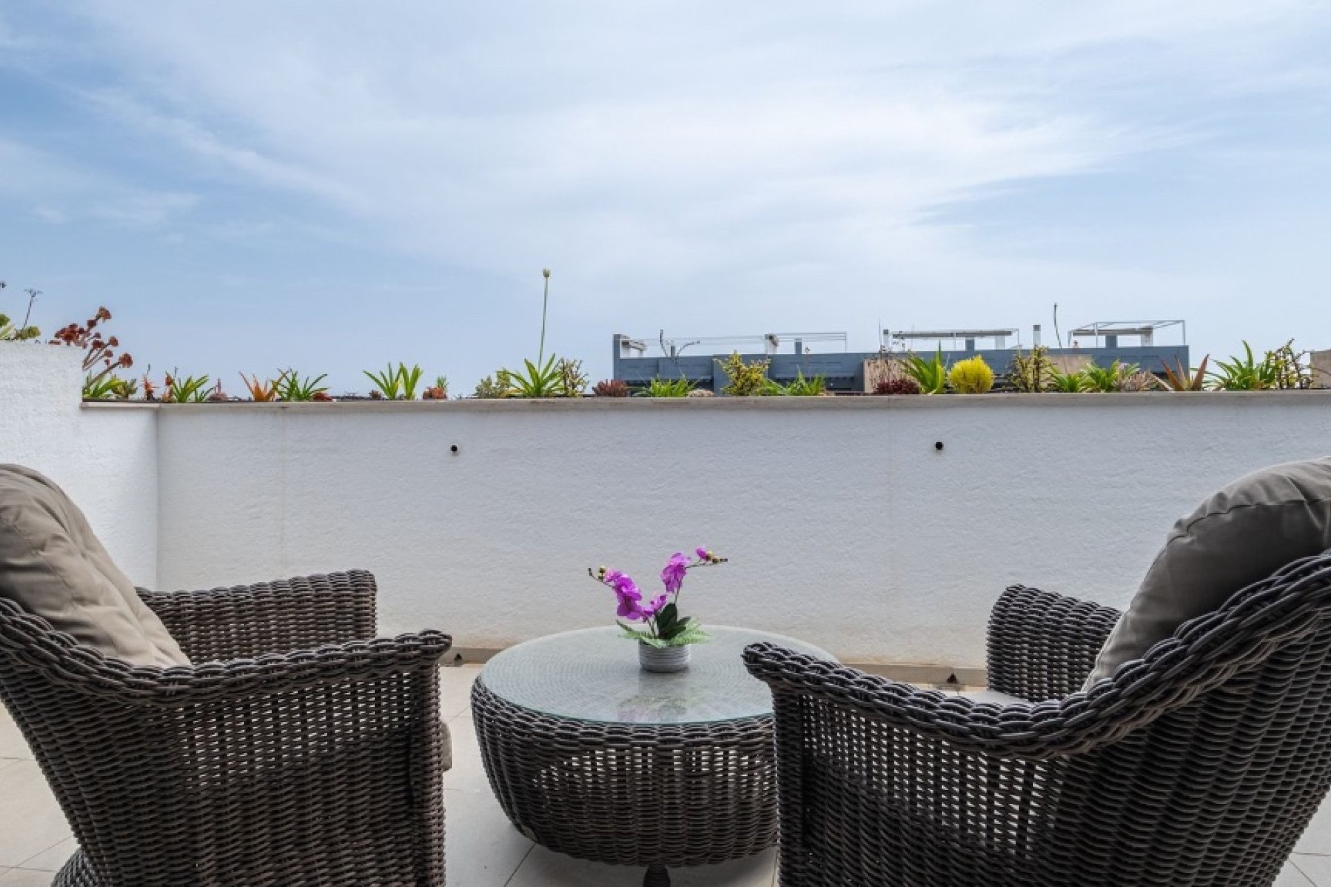 Revente - Appartement - Orihuela Costa - Playa Flamenca