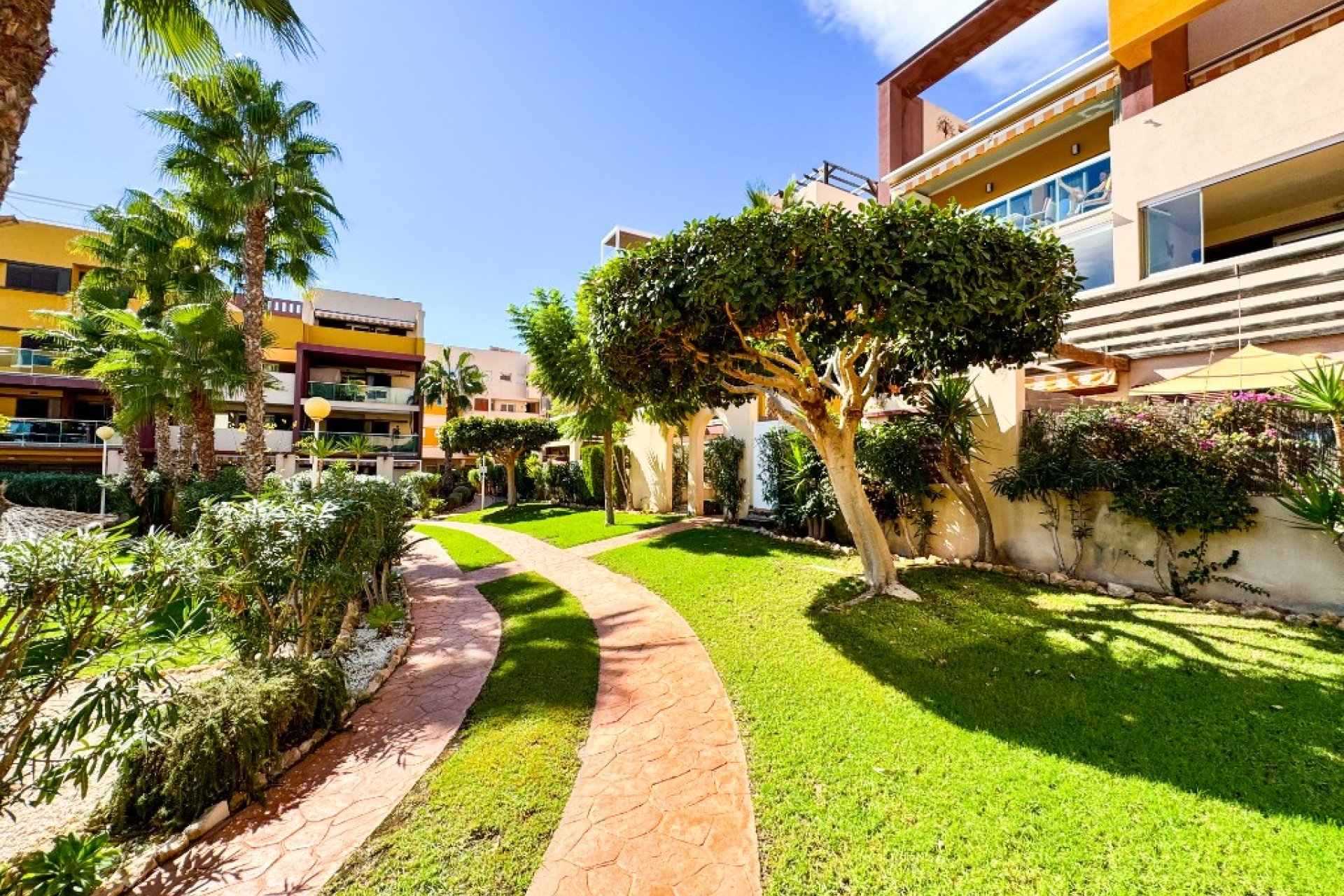 Revente - Appartement - Orihuela Costa - Playa Flamenca
