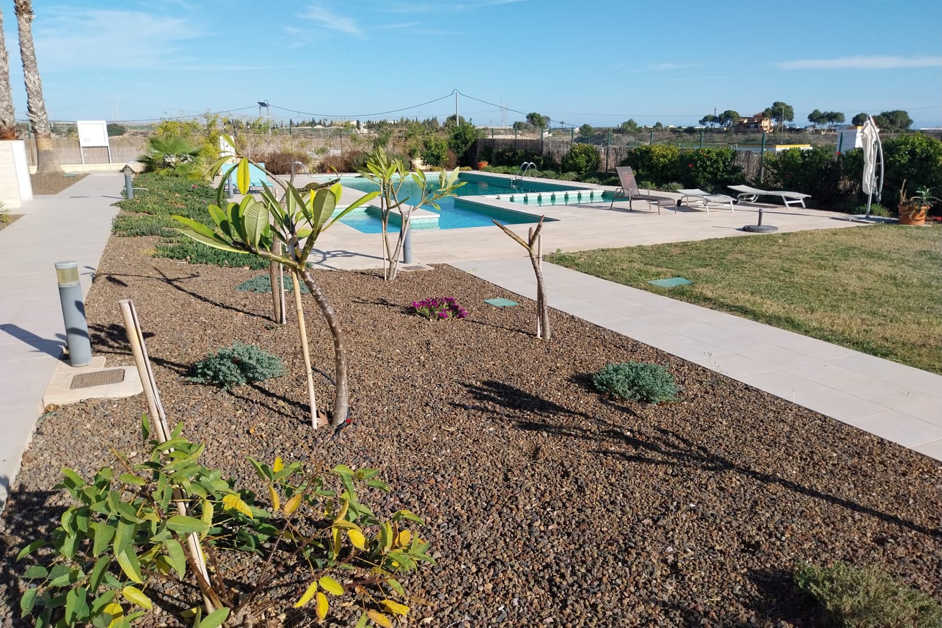 Revente - Appartement - Pilar de la Horadada - Lo Romero Golf