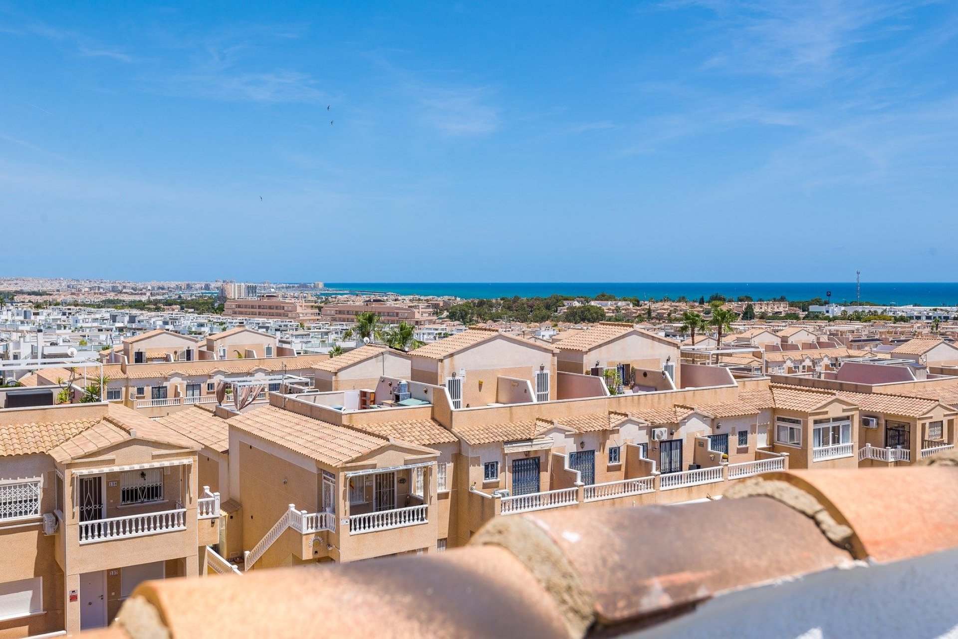 Revente - Appartement - Punta Prima