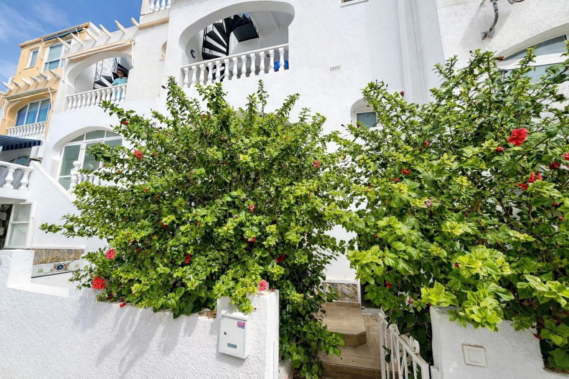 Revente - Appartement - San Miguel de Salinas - Las filipinas