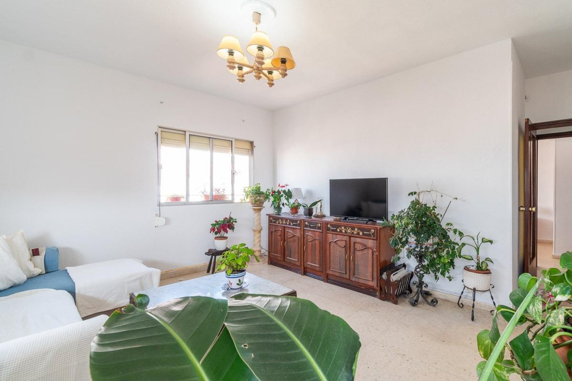 Revente - Appartement - Torrevieja - Centro