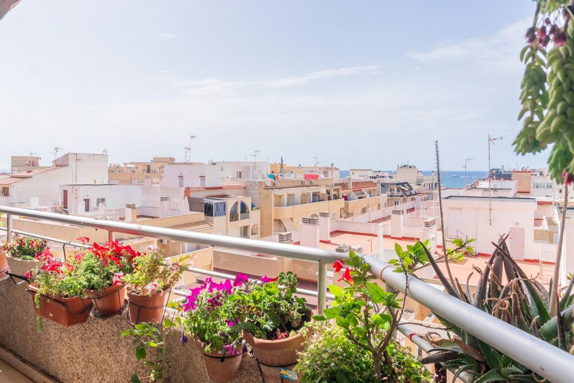 Revente - Appartement - Torrevieja - Centro