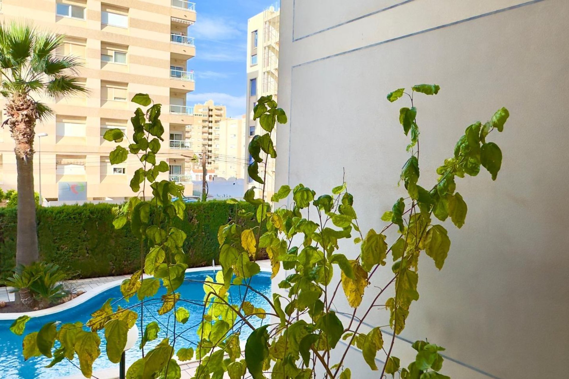 Revente - Appartement - Torrevieja - Nueva Torrevieja - Aguas Nuevas