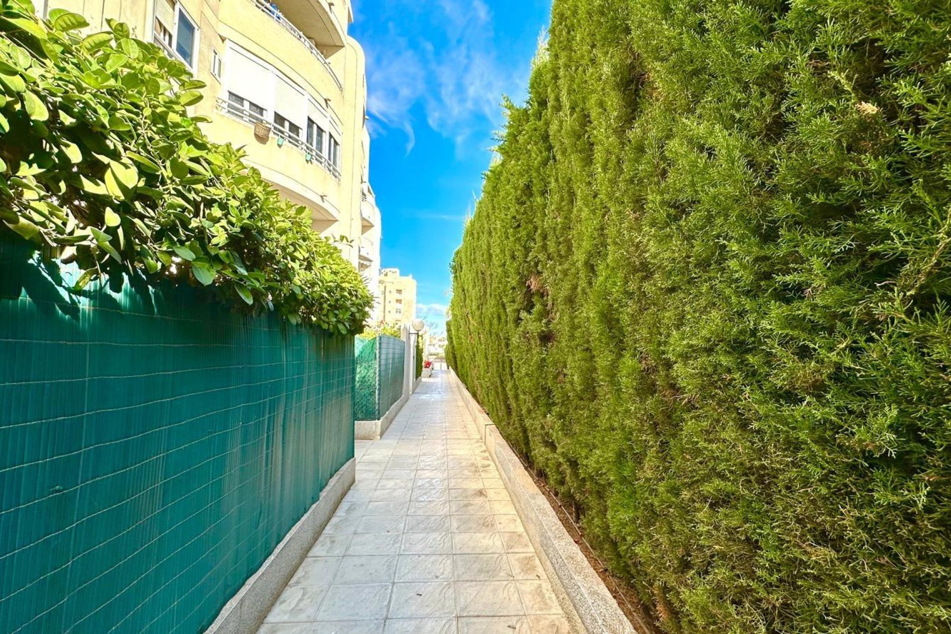 Revente - Appartement - Torrevieja - Nueva Torrevieja - Aguas Nuevas