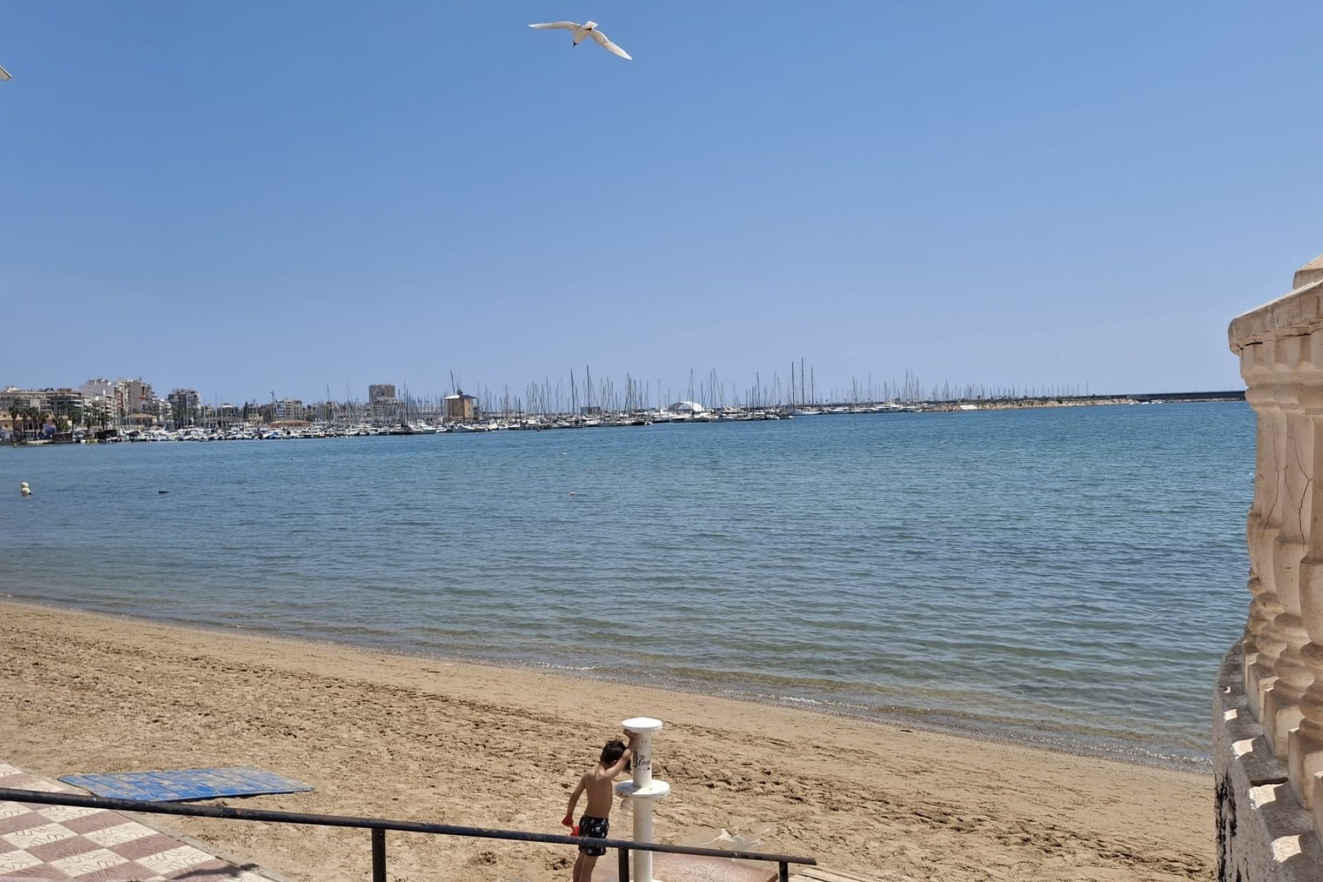 Revente - Appartement - Torrevieja - Playa Acequion