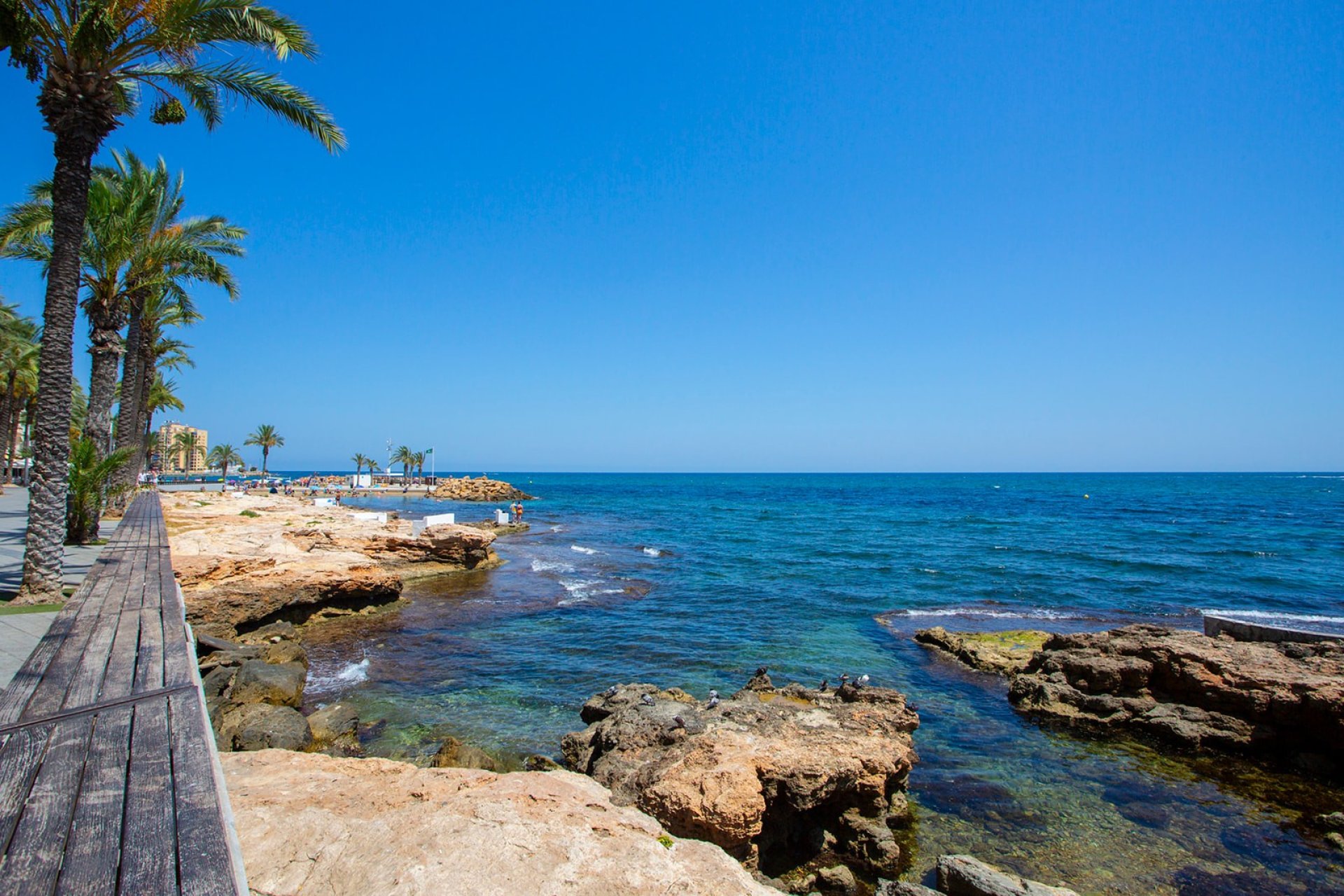 Revente - Appartement - Torrevieja - Playa de los Locos