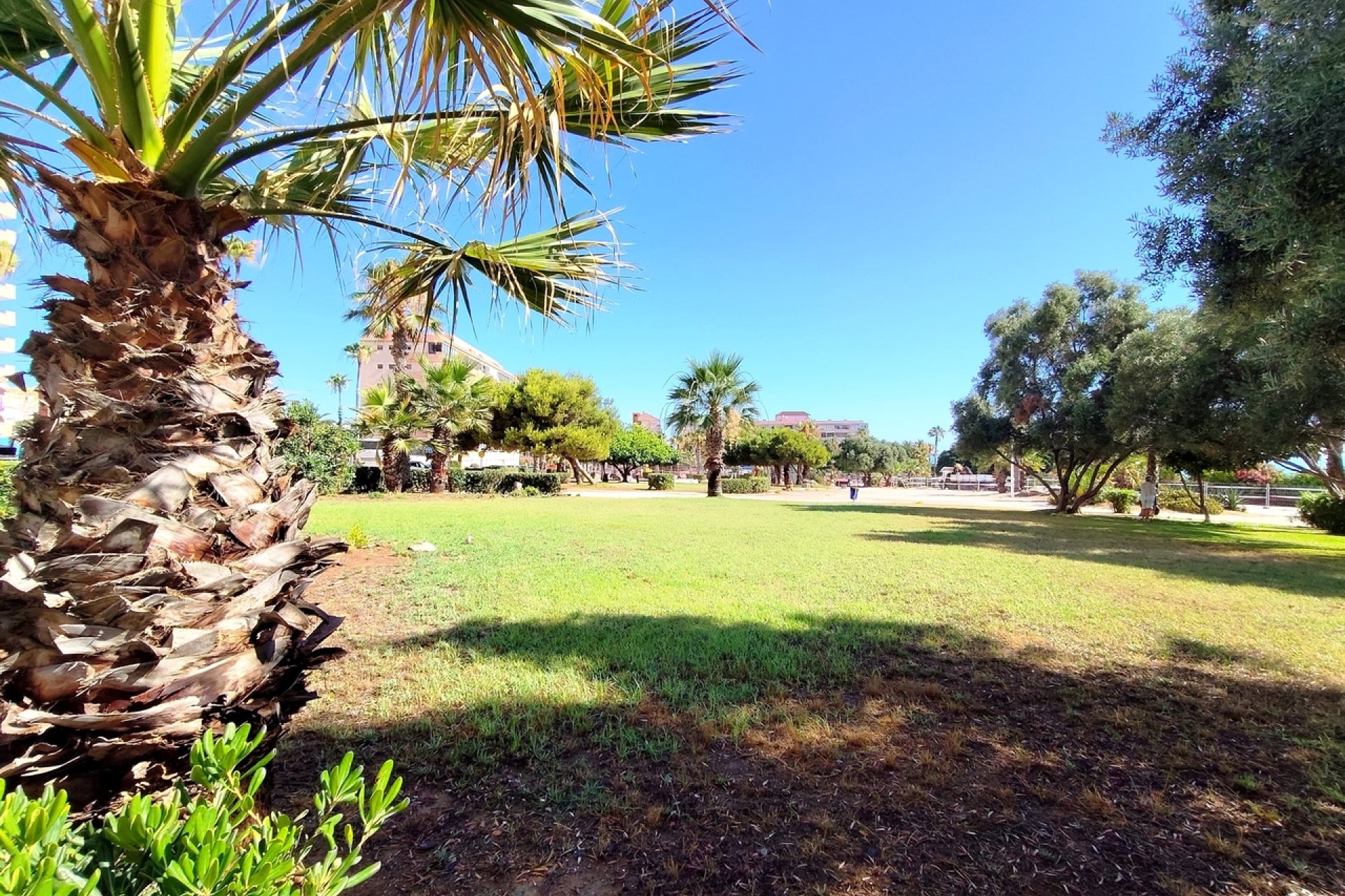 Revente - Appartement - Torrevieja