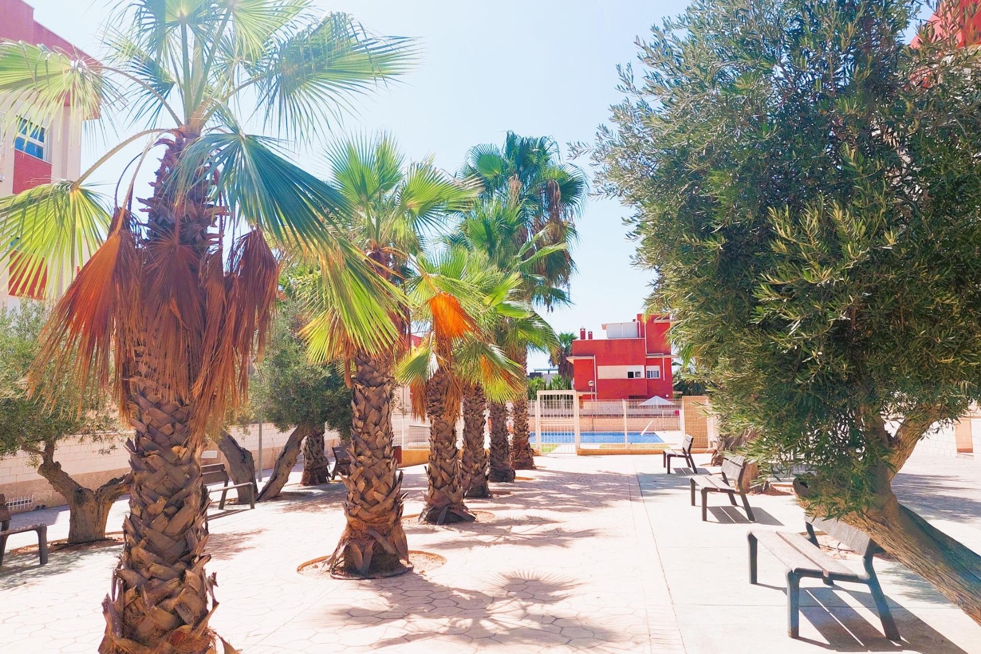 Revente - Attique - Orihuela Costa - Lomas de Cabo Roig