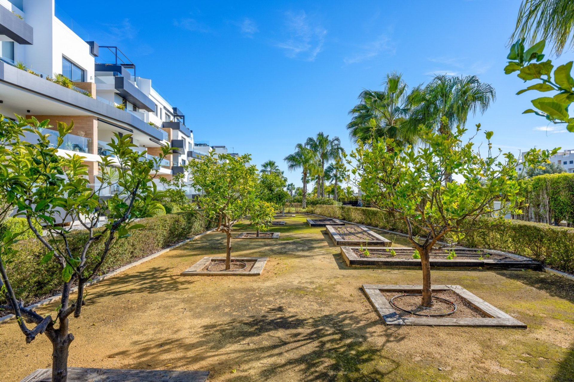 Revente - Attique - Orihuela Costa - Villamartin