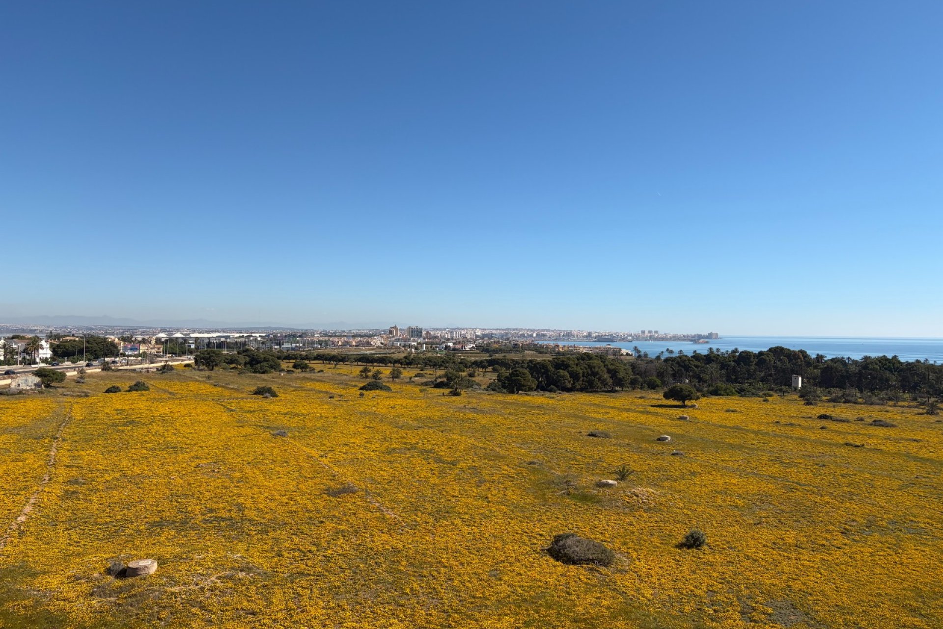 Revente - Attique - Torrevieja - Punta Prima