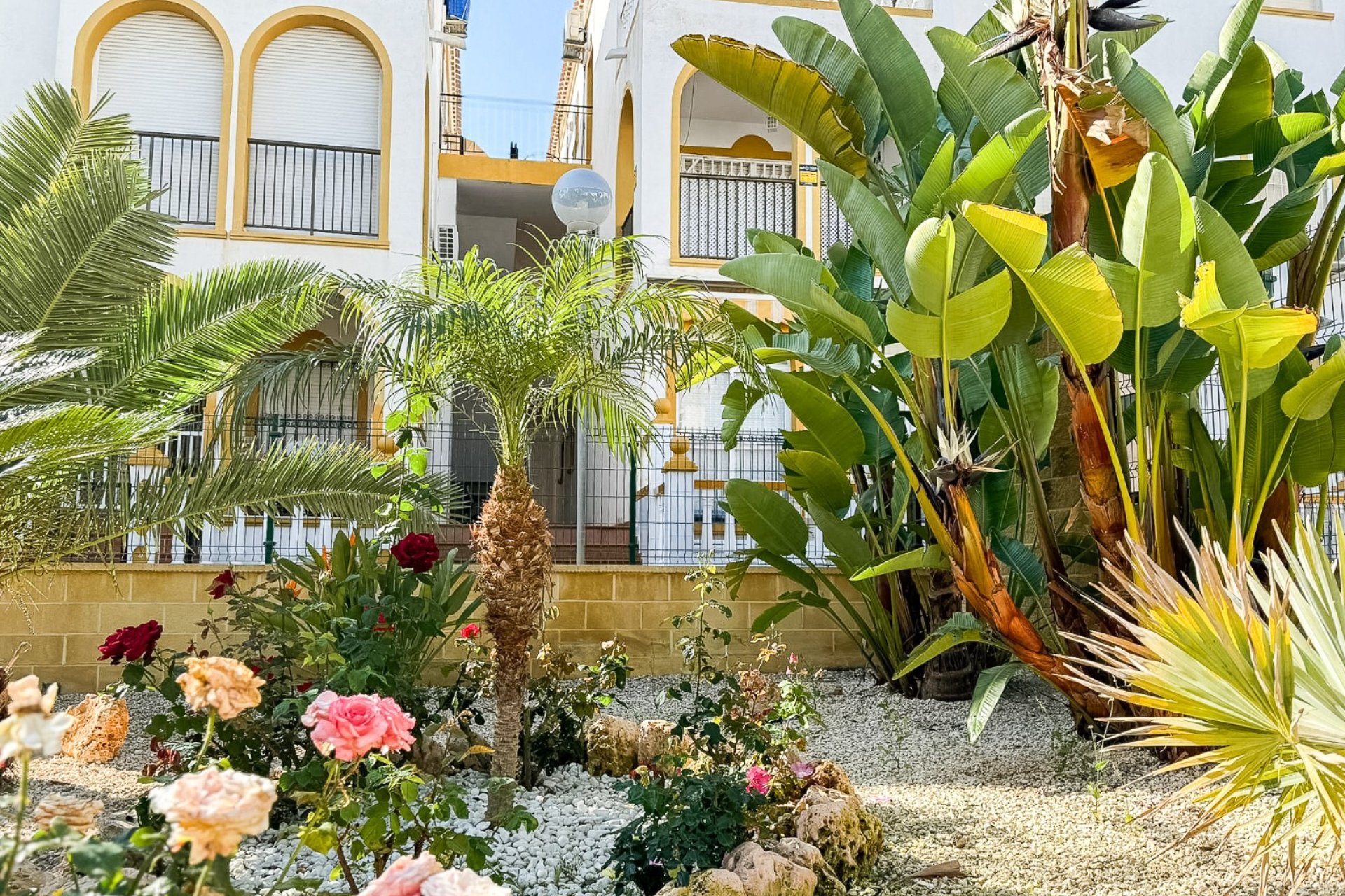 Revente - Attique - Torrevieja - Torrelamata - La Mata