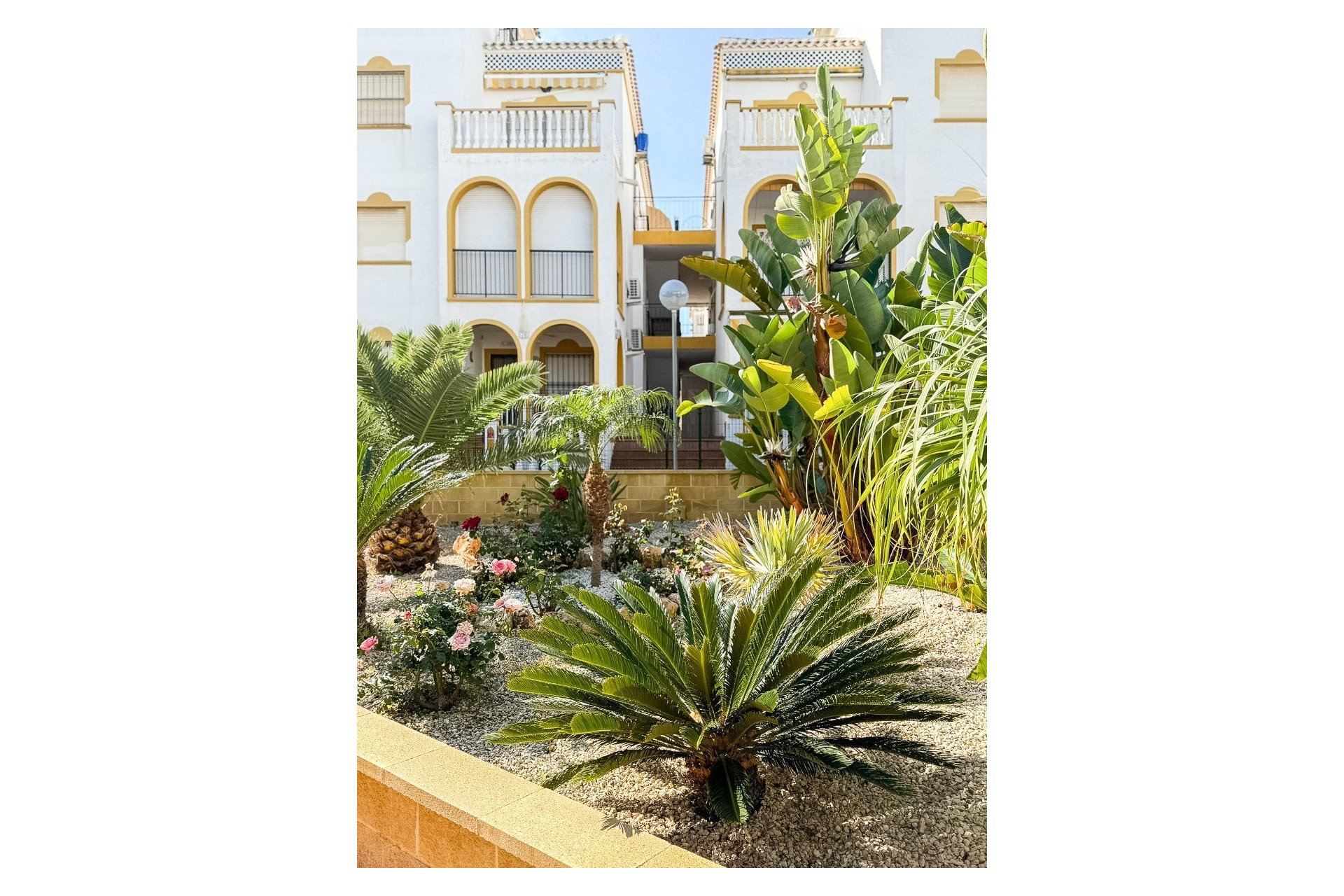 Revente - Attique - Torrevieja - Torrelamata - La Mata