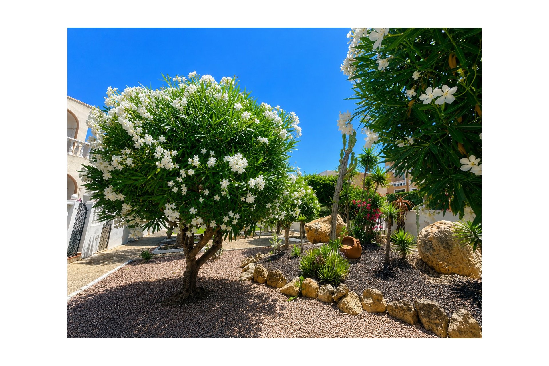 Revente - Bungalow - La Mata