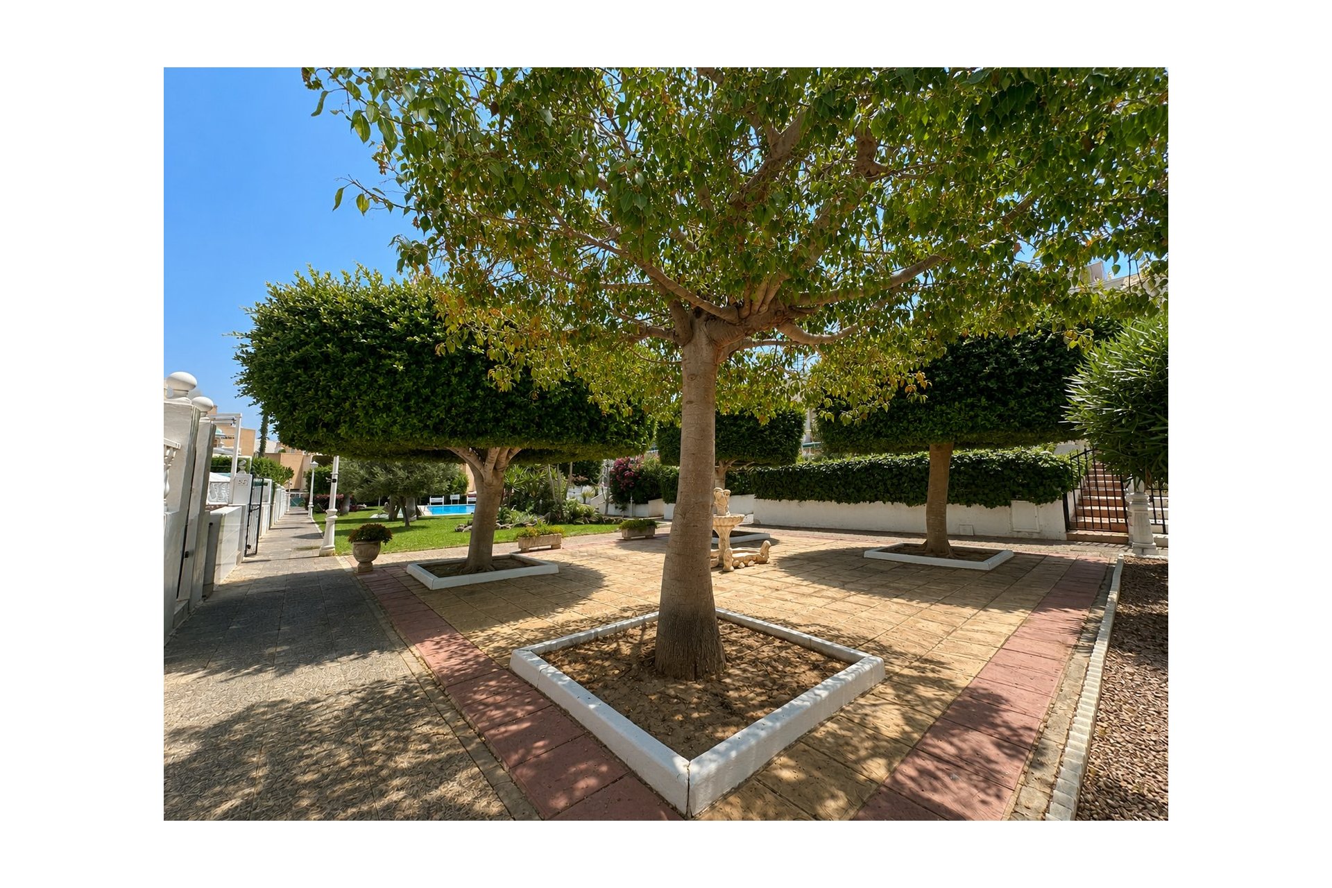 Revente - Bungalow - La Mata