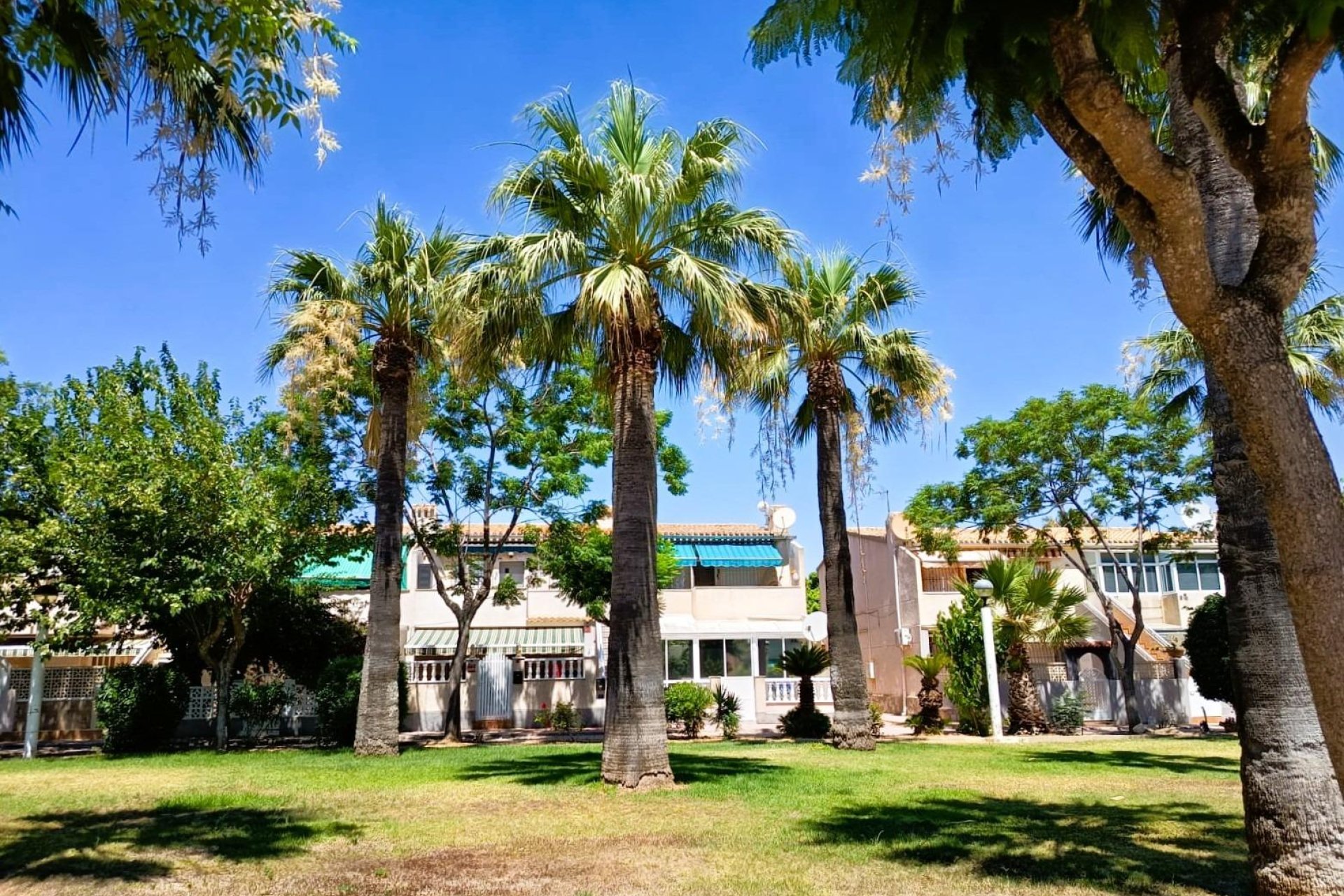 Revente - Bungalow - Orihuela Costa - La Regia