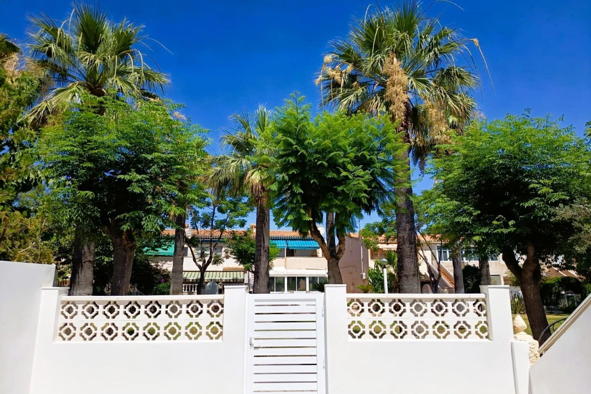Revente - Bungalow - Pilar de la Horadada - Torre de la Horadada