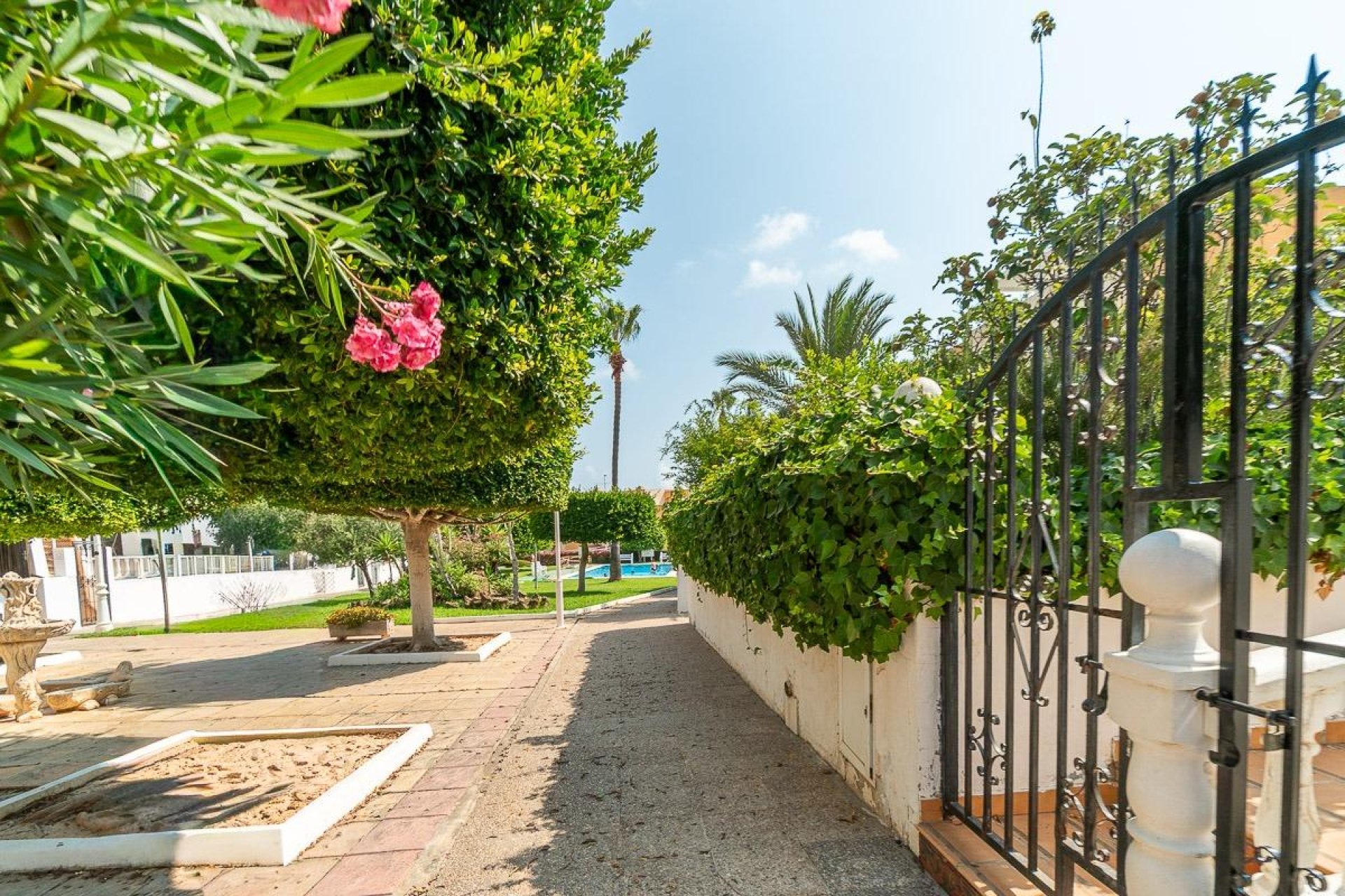 Revente - Bungalow - Torrevieja - Torreblanca