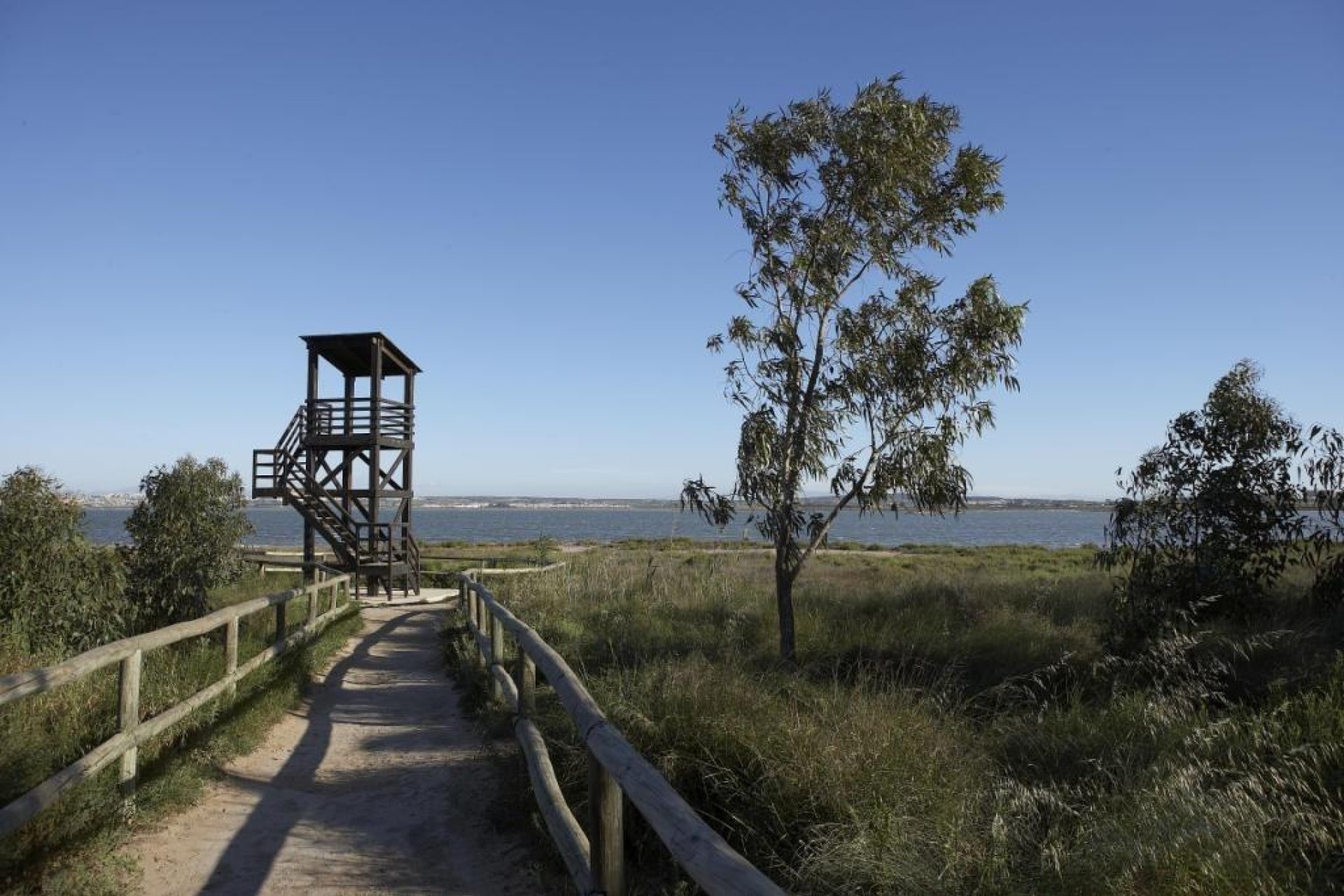 Revente - Bungalow - Torrevieja - Torrejón