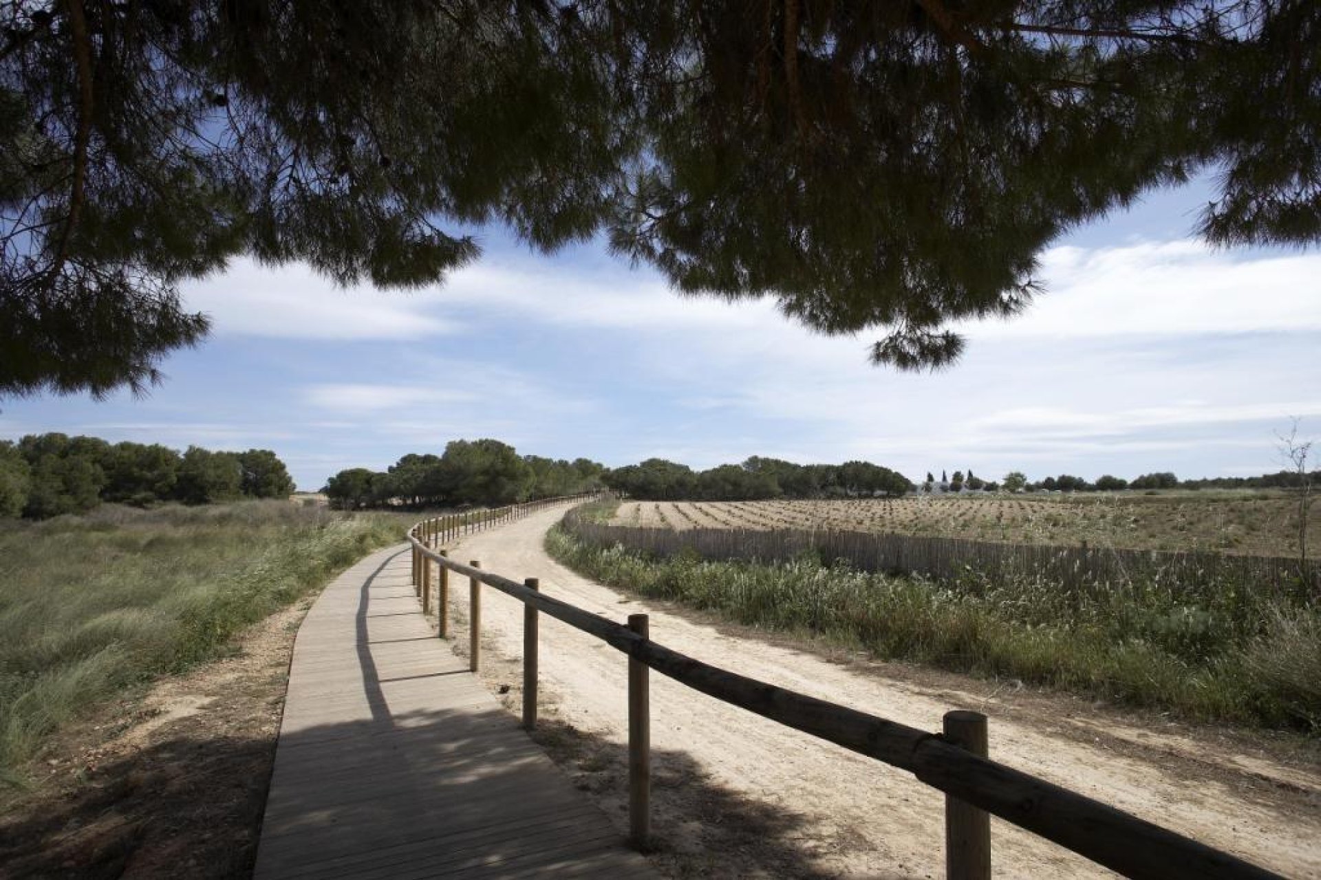 Revente - Bungalow - Torrevieja - Torrejón