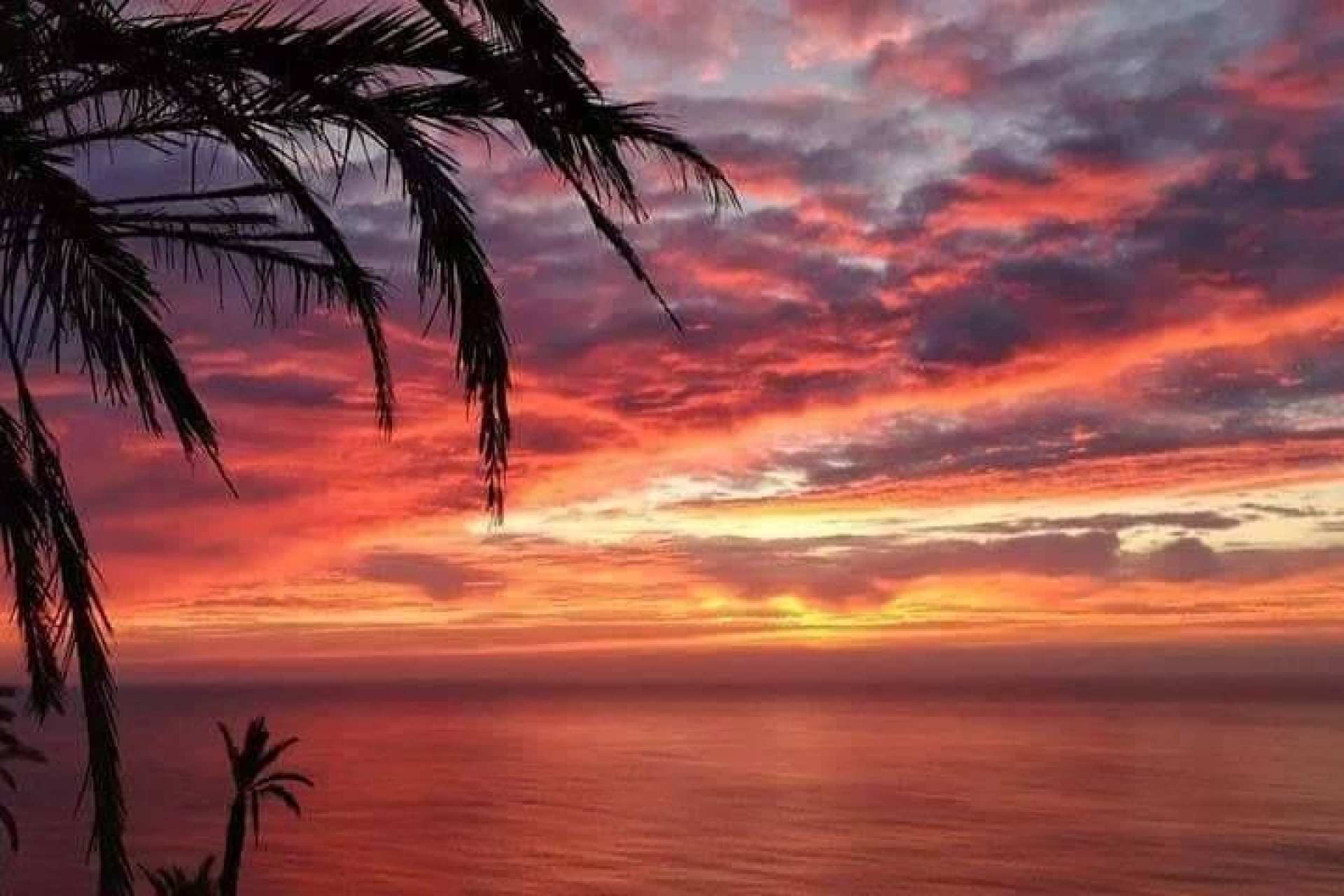 Revente - Bungalow - Torrevieja - Torrejón