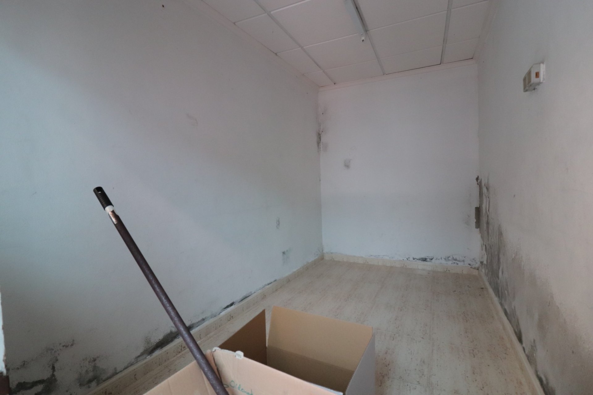 Revente - Commercial - Benijofar - Benijofar - Village