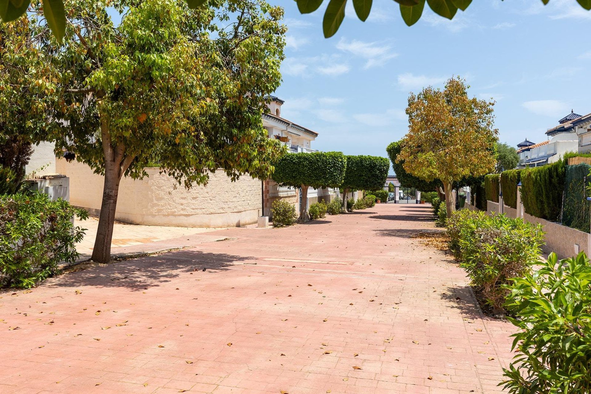 Revente - Maison de ville - Torrevieja - La Mata