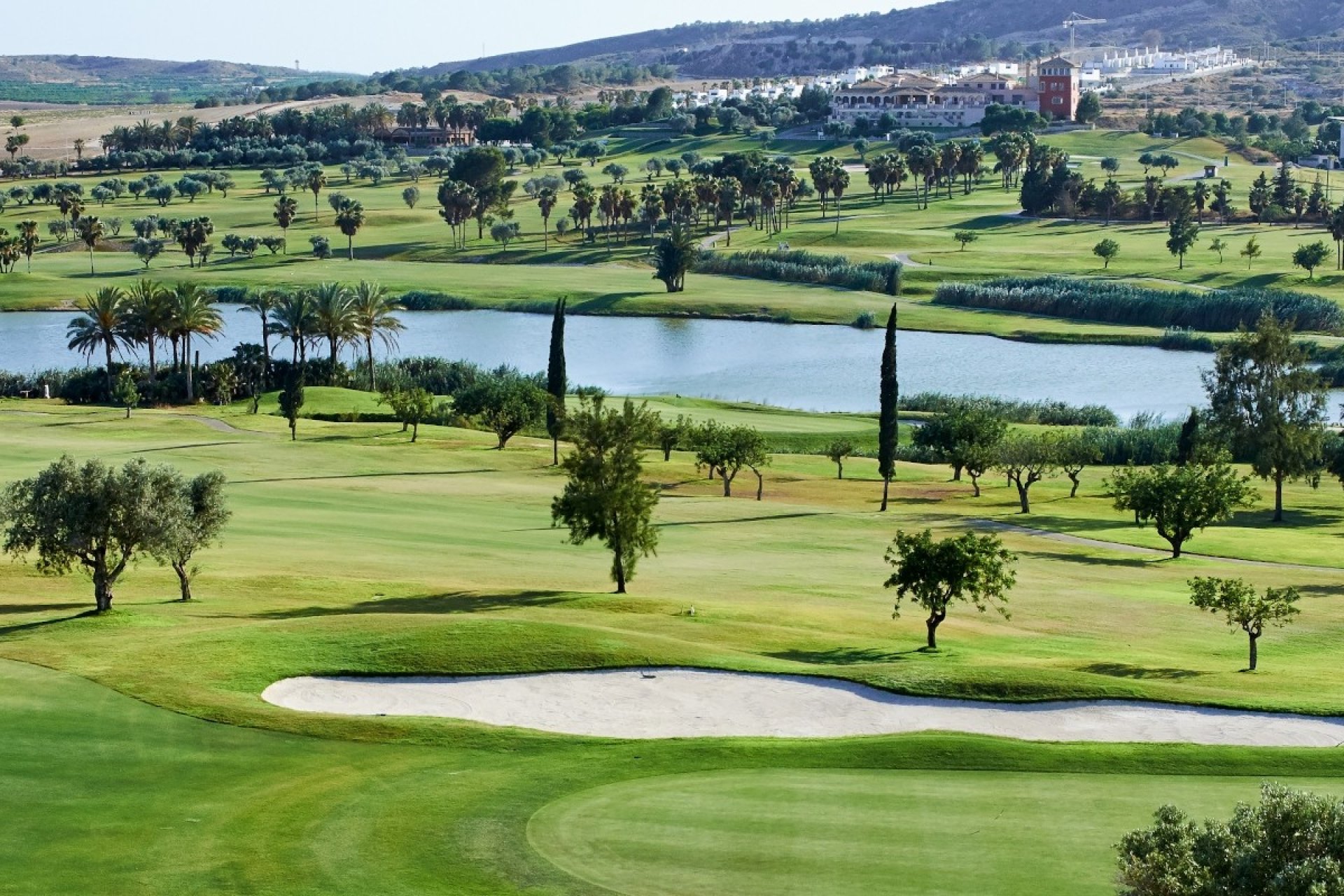 Revente - Parcelle / Terrain - Algorfa - Montemar