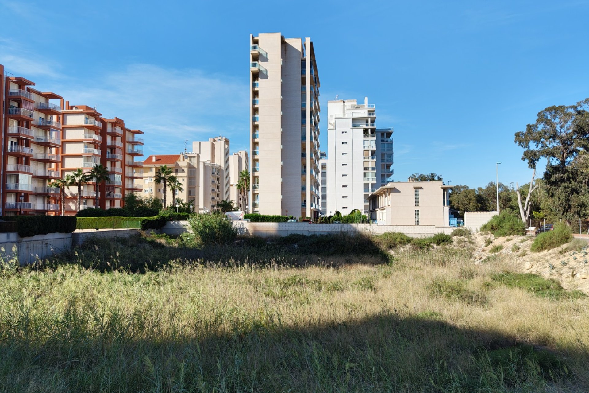 Revente - Parcelle / Terrain - Guardamar del Segura - Guardamar pueblo