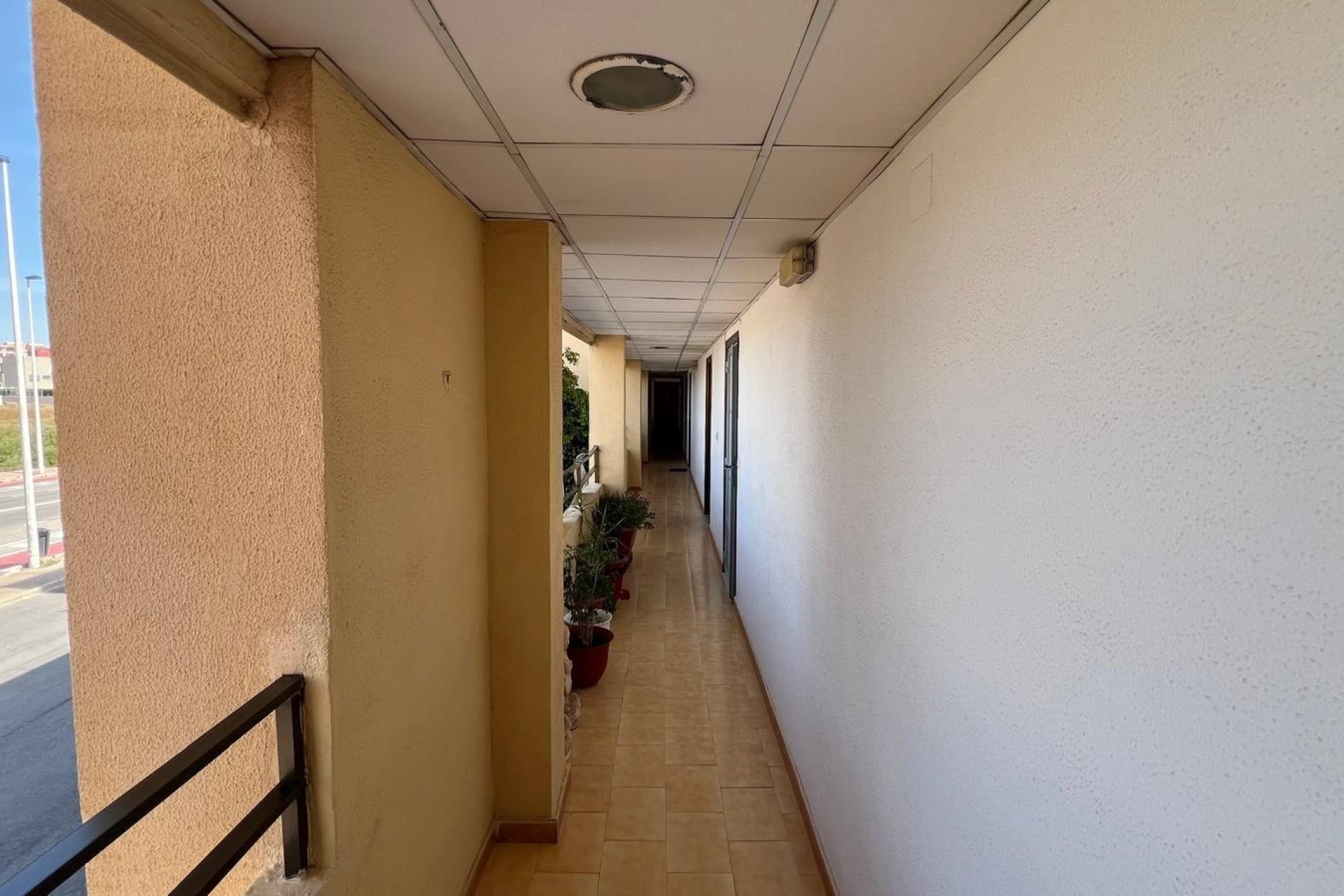 Revente - Studio - Torrevieja - Urb. Rosaleda
