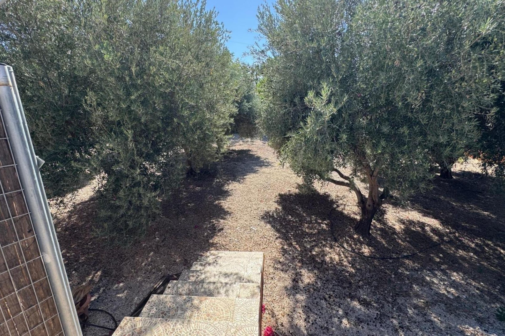 Revente - Villa - Albatera - BARRANCO SAN CAYETANO