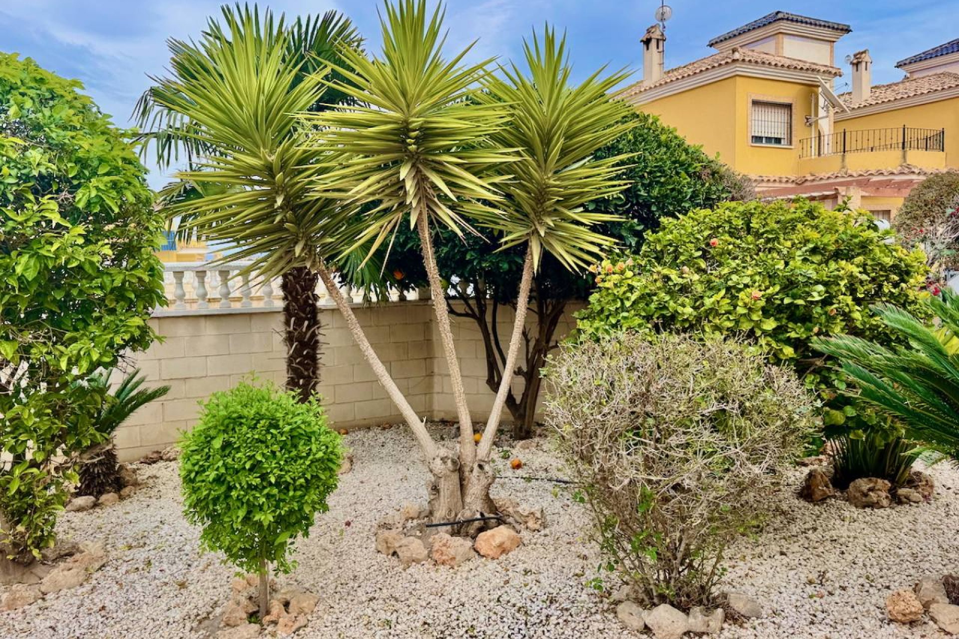 Revente - Villa - Algorfa - Lo Crispin
