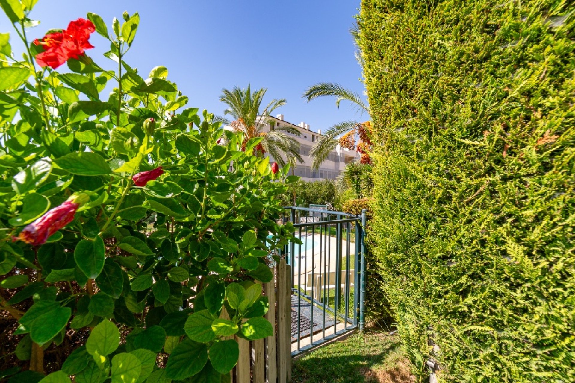 Revente - Villa - Benidorm - Finestrat