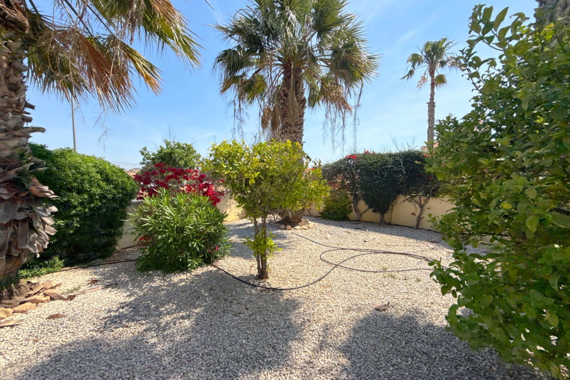 Revente - Villa - Cabo Roig - Cabo Roig>La Regia