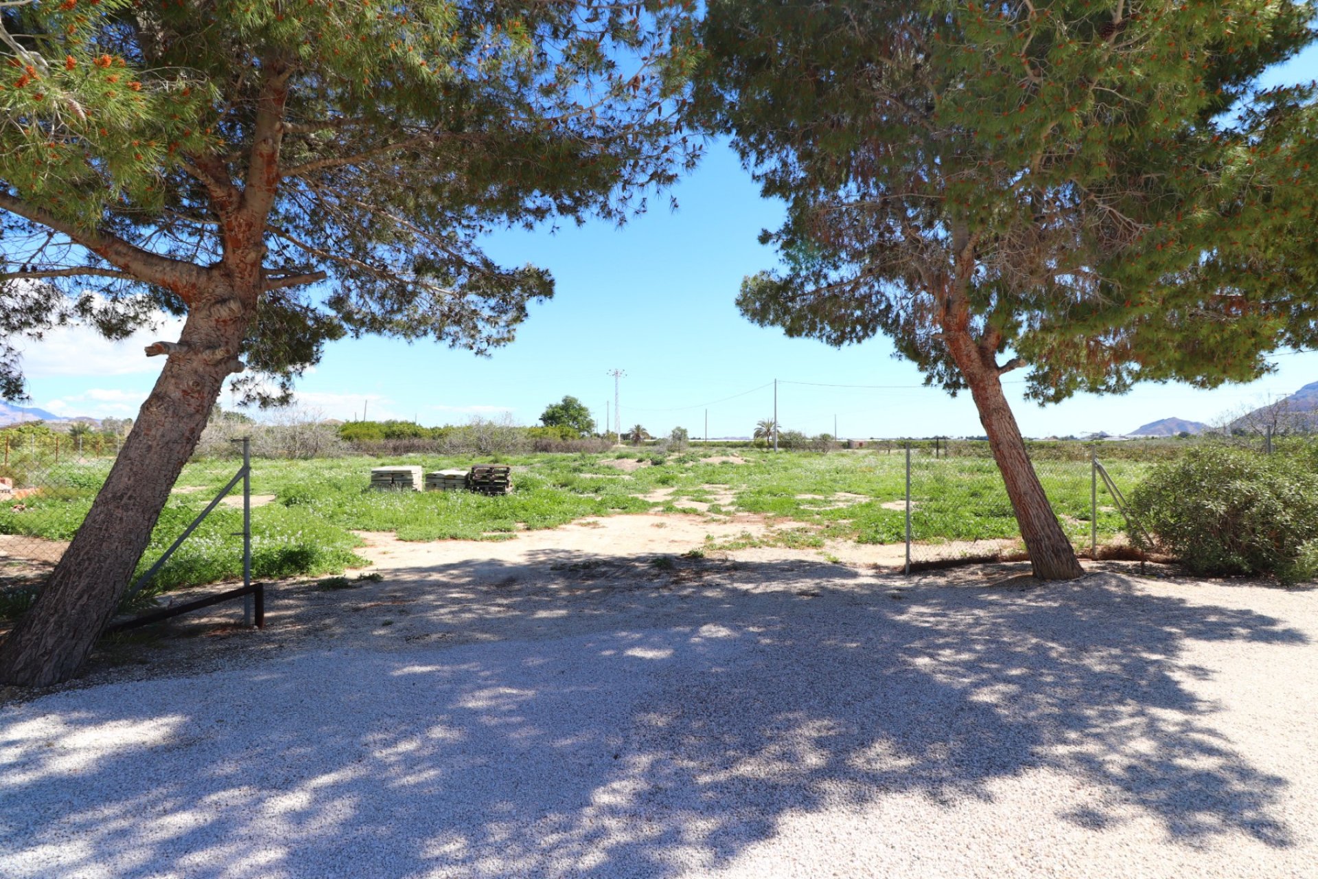 Revente - Villa - Callosa de Segura - Callosa de Segura - Country