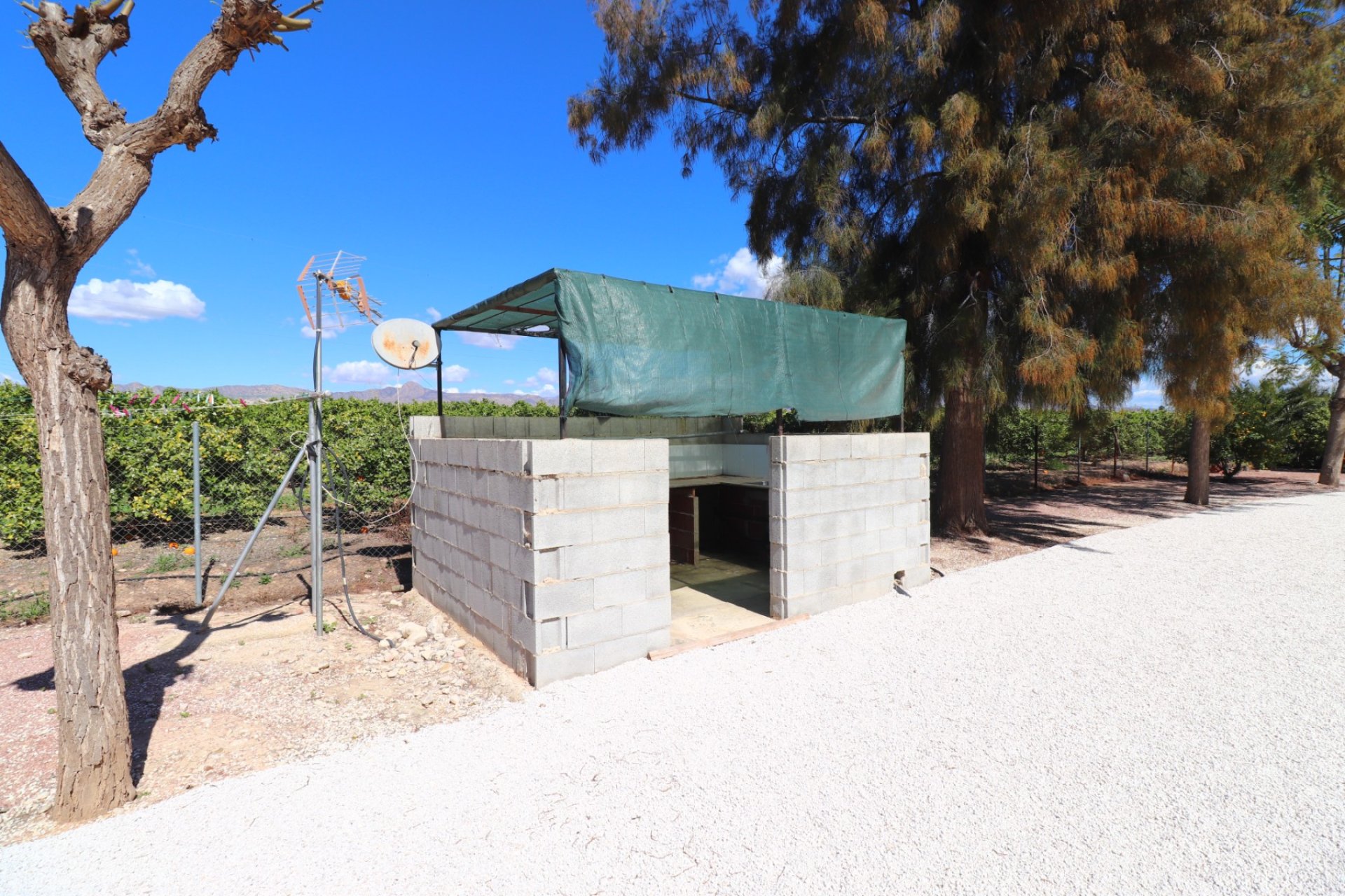 Revente - Villa - Callosa de Segura - Callosa de Segura - Country