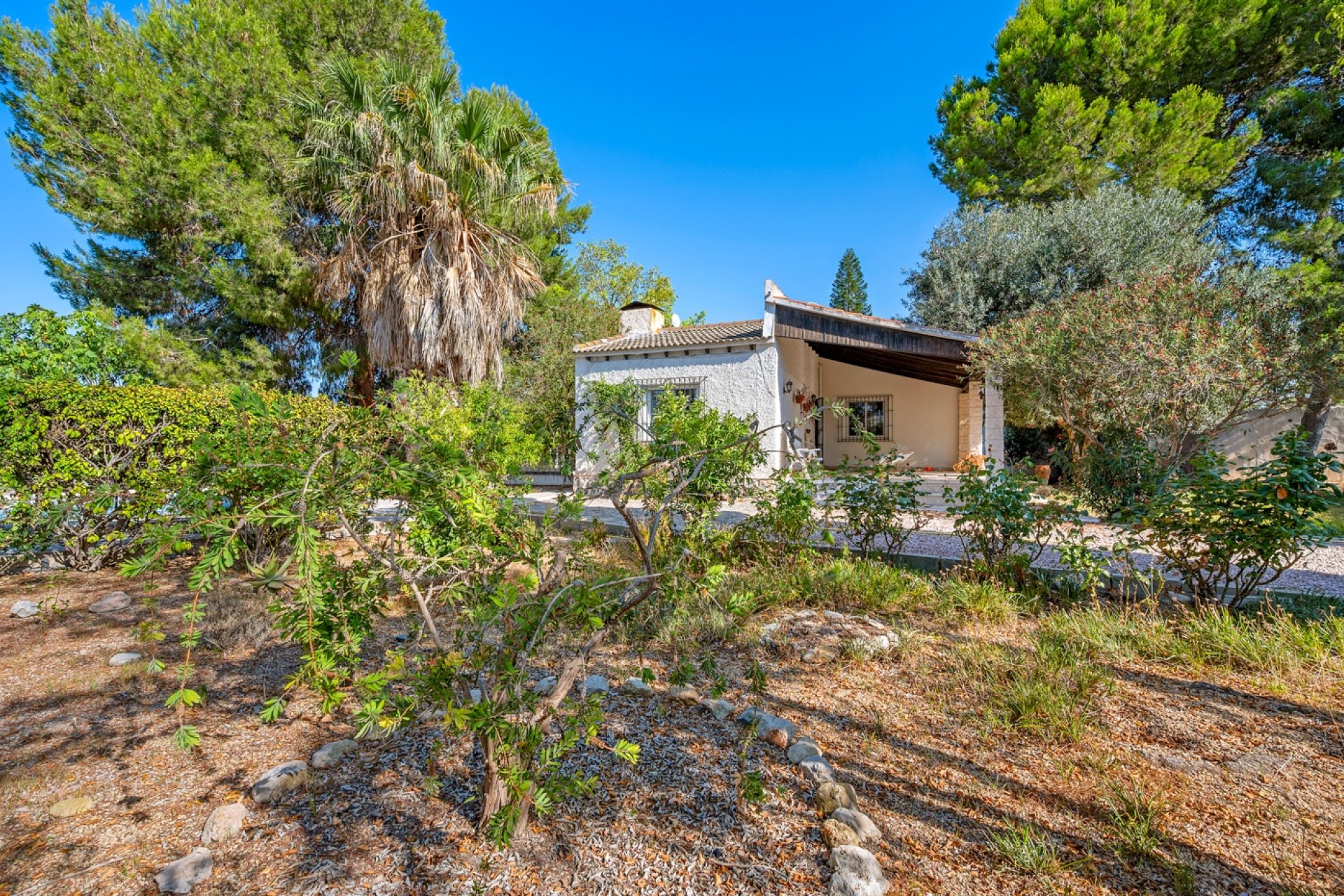 Revente - Villa - Callosa de Segura - Callosa del Segura