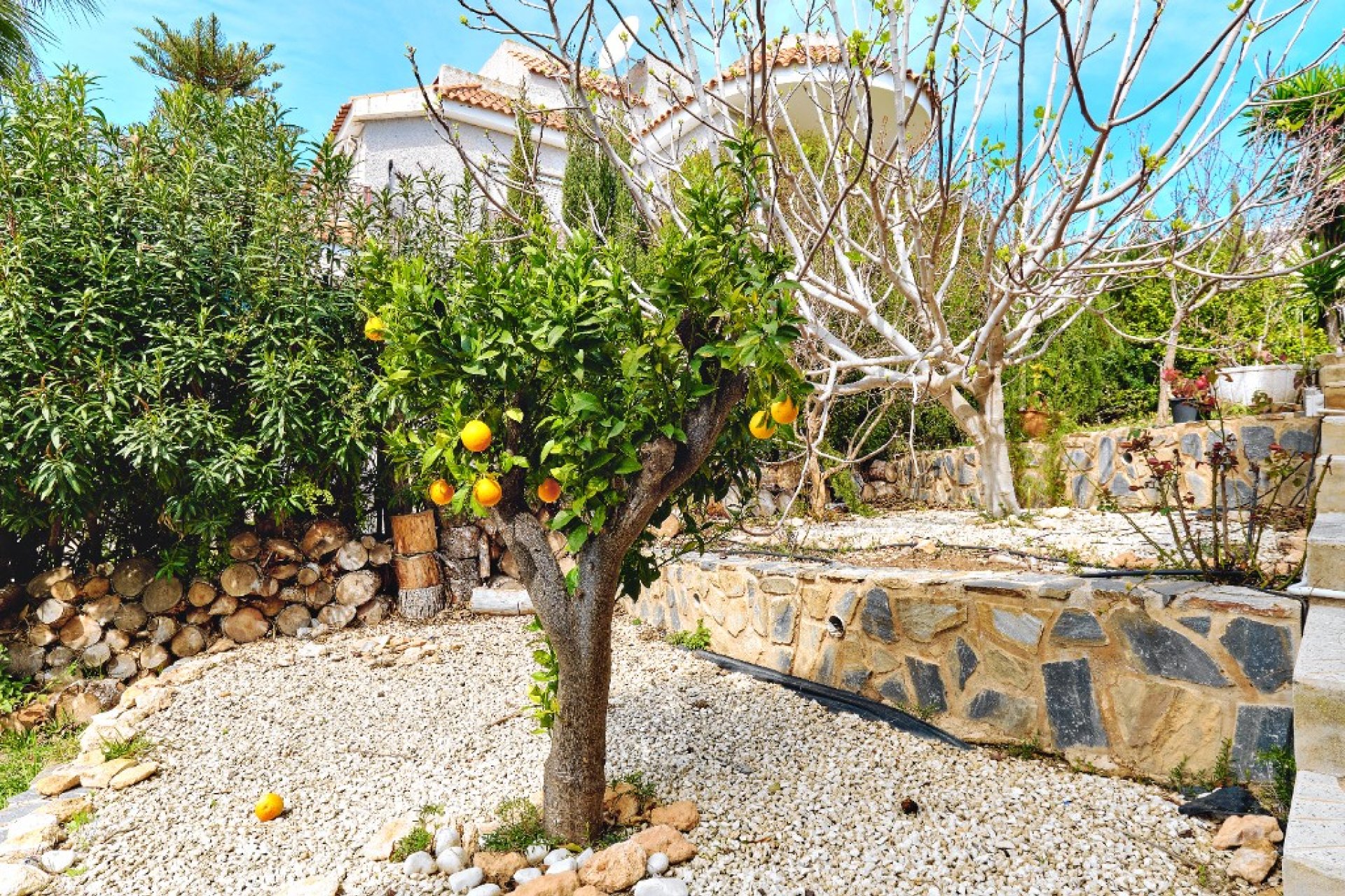 Revente - Villa - Campoamor - Dehesa de Campoamor