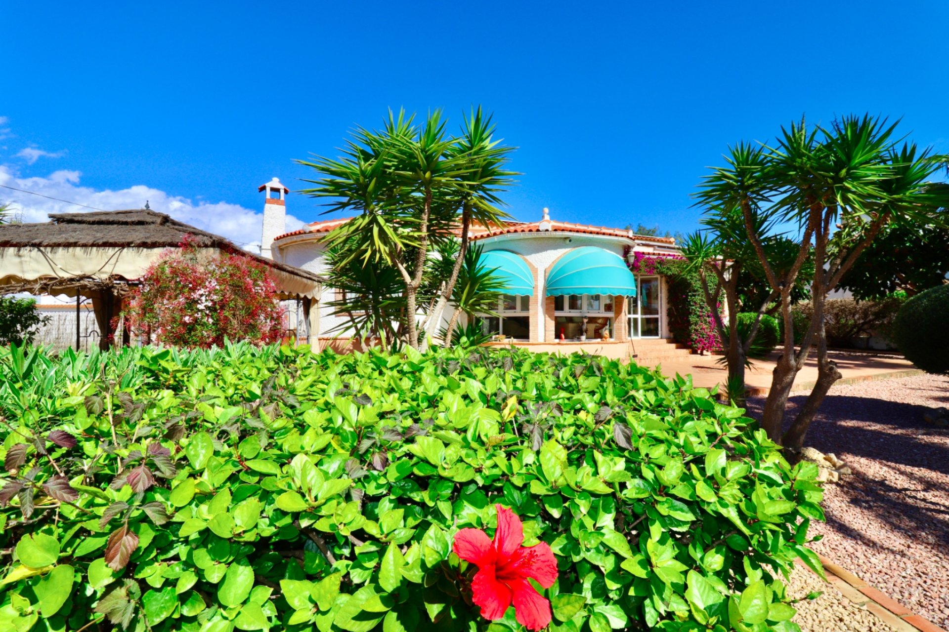 Revente - Villa - Ciudad Quesada - Quesada Center