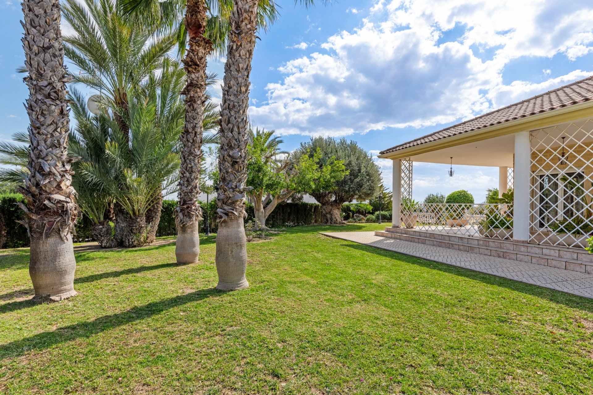 Revente - Villa - Elche - Elche/Elx
